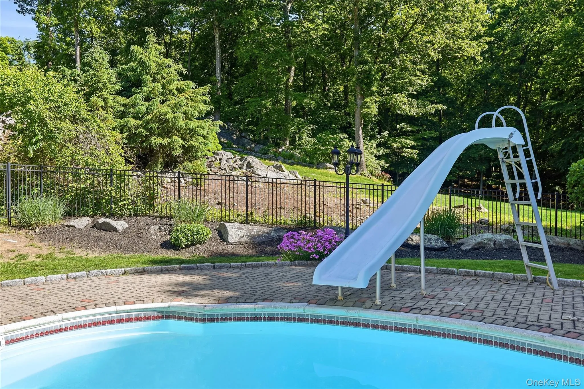 Take the plunge! Take the plunge!