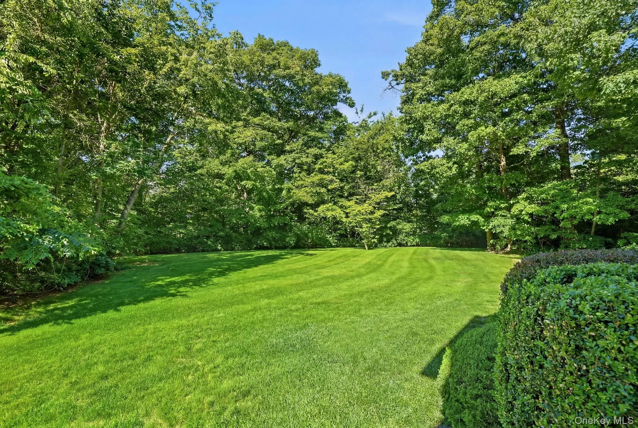 Mature trees frame the level front lawn, enhancing privacy and outdoor enjoyment. Mature trees frame the level front lawn, enhancing privacy and outdoor enjoyment.