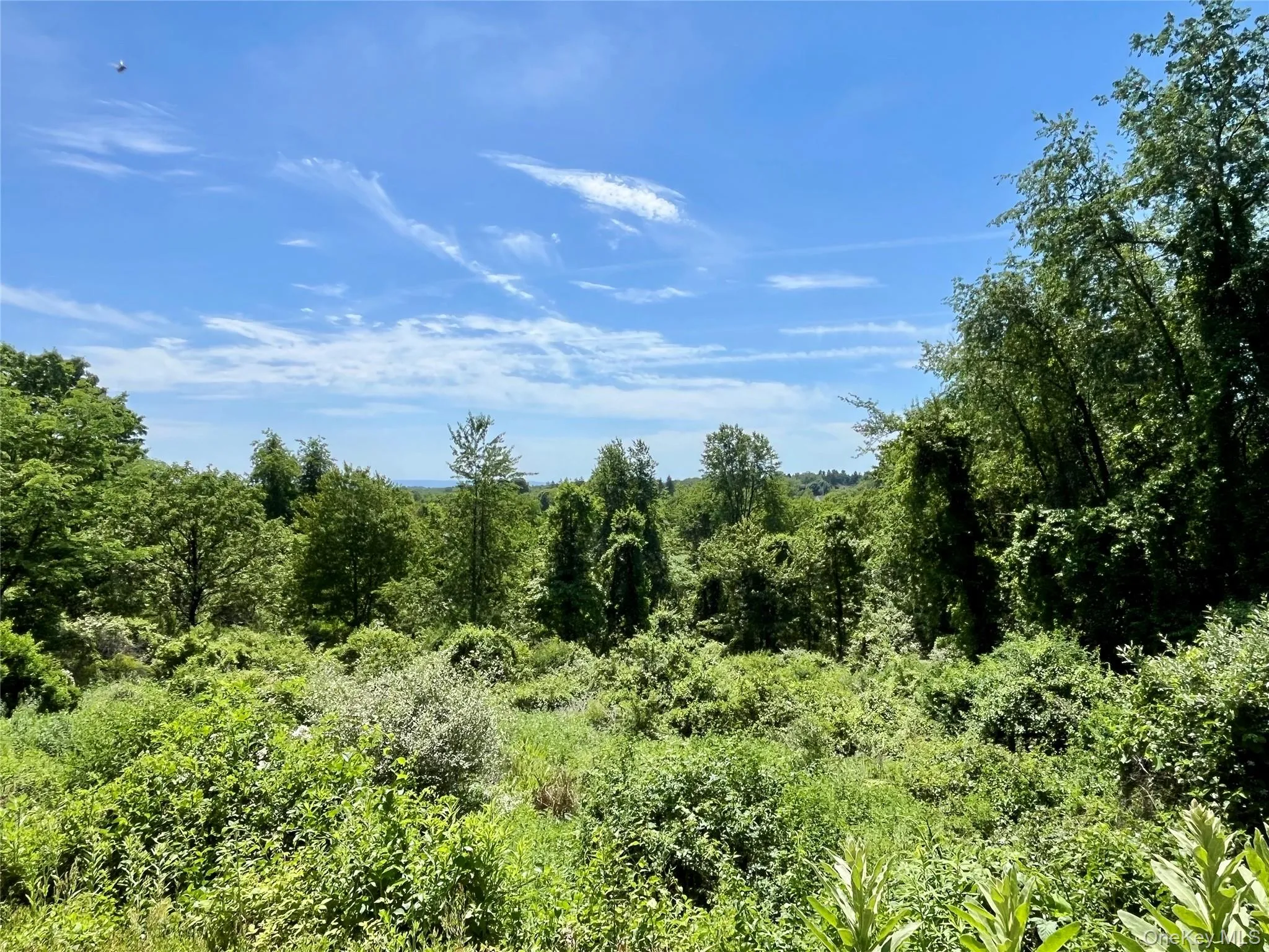 470 Ingrassia Road, Middletown, NY, 3 Bedrooms Bedrooms, 8 Rooms Rooms,3 BathroomsBathrooms,Residential,For Rent,Ingrassia,0,1009972 470 Ingrassia Road, Middletown, NY, 3 Bedrooms Bedrooms, 8 Rooms Rooms,3 BathroomsBathrooms,Residential,For Rent,Ingrassia,0,1009972