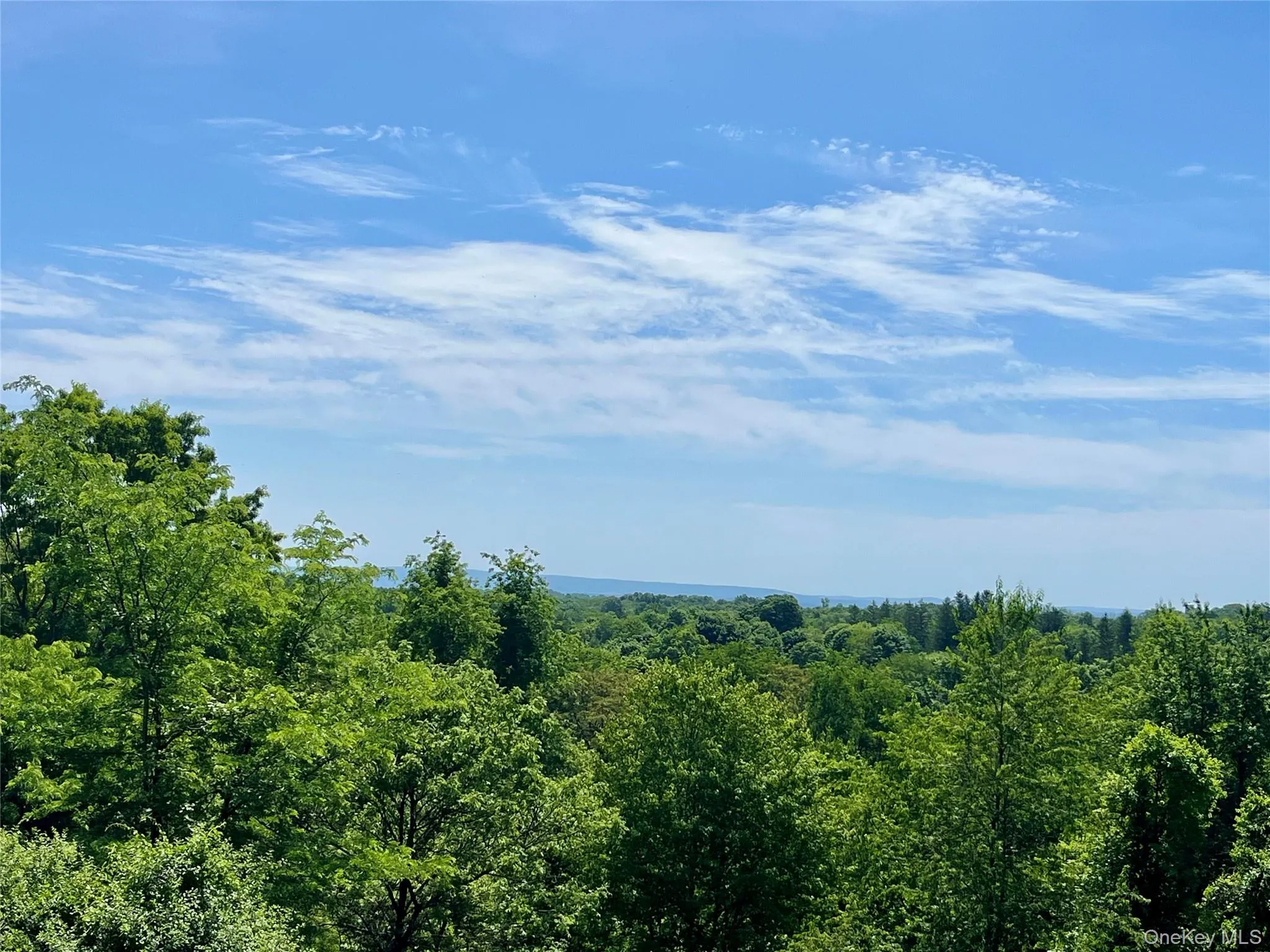 470 Ingrassia Road, Middletown, NY, 3 Bedrooms Bedrooms, 8 Rooms Rooms,3 BathroomsBathrooms,Residential,For Rent,Ingrassia,0,1009972 470 Ingrassia Road, Middletown, NY, 3 Bedrooms Bedrooms, 8 Rooms Rooms,3 BathroomsBathrooms,Residential,For Rent,Ingrassia,0,1009972