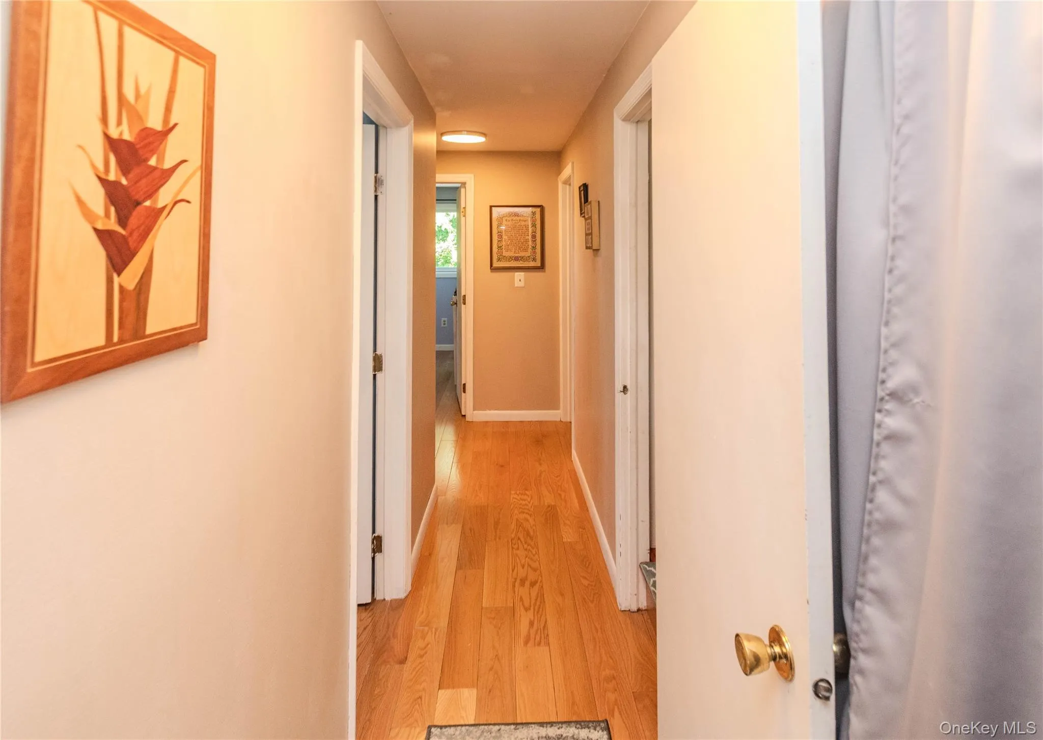 12 Ose Road, Lloyd, NY, 3 Bedrooms Bedrooms, 6 Rooms Rooms,2 BathroomsBathrooms,Residential,For Rent,Ose,0,1009977 12 Ose Road, Lloyd, NY, 3 Bedrooms Bedrooms, 6 Rooms Rooms,2 BathroomsBathrooms,Residential,For Rent,Ose,0,1009977