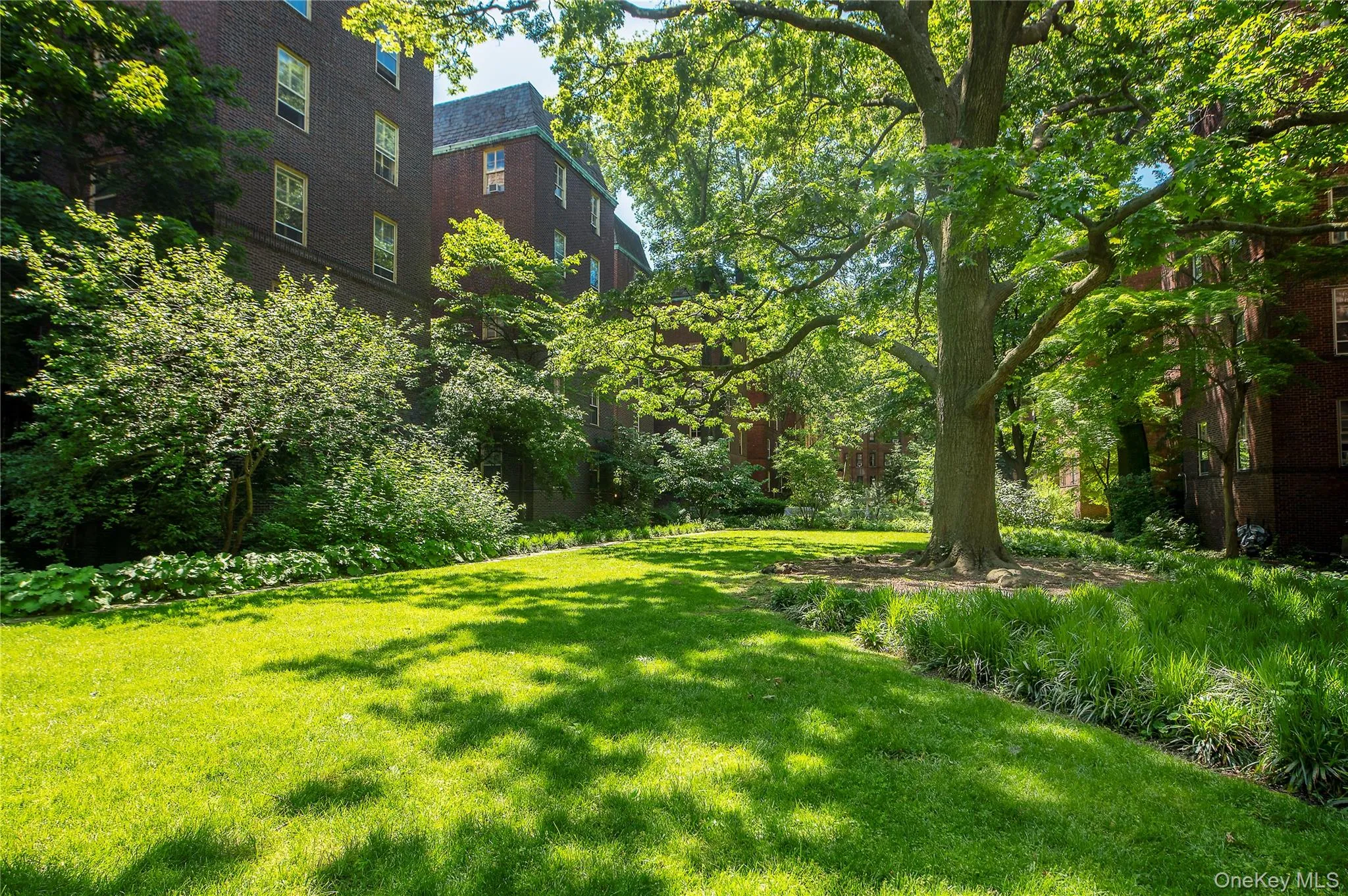 34-22 81 Street, New York, NY, 3 Bedrooms Bedrooms, 6 Rooms Rooms,2 BathroomsBathrooms,Residential,For Rent,81,0,1010021 34-22 81 Street, New York, NY, 3 Bedrooms Bedrooms, 6 Rooms Rooms,2 BathroomsBathrooms,Residential,For Rent,81,0,1010021