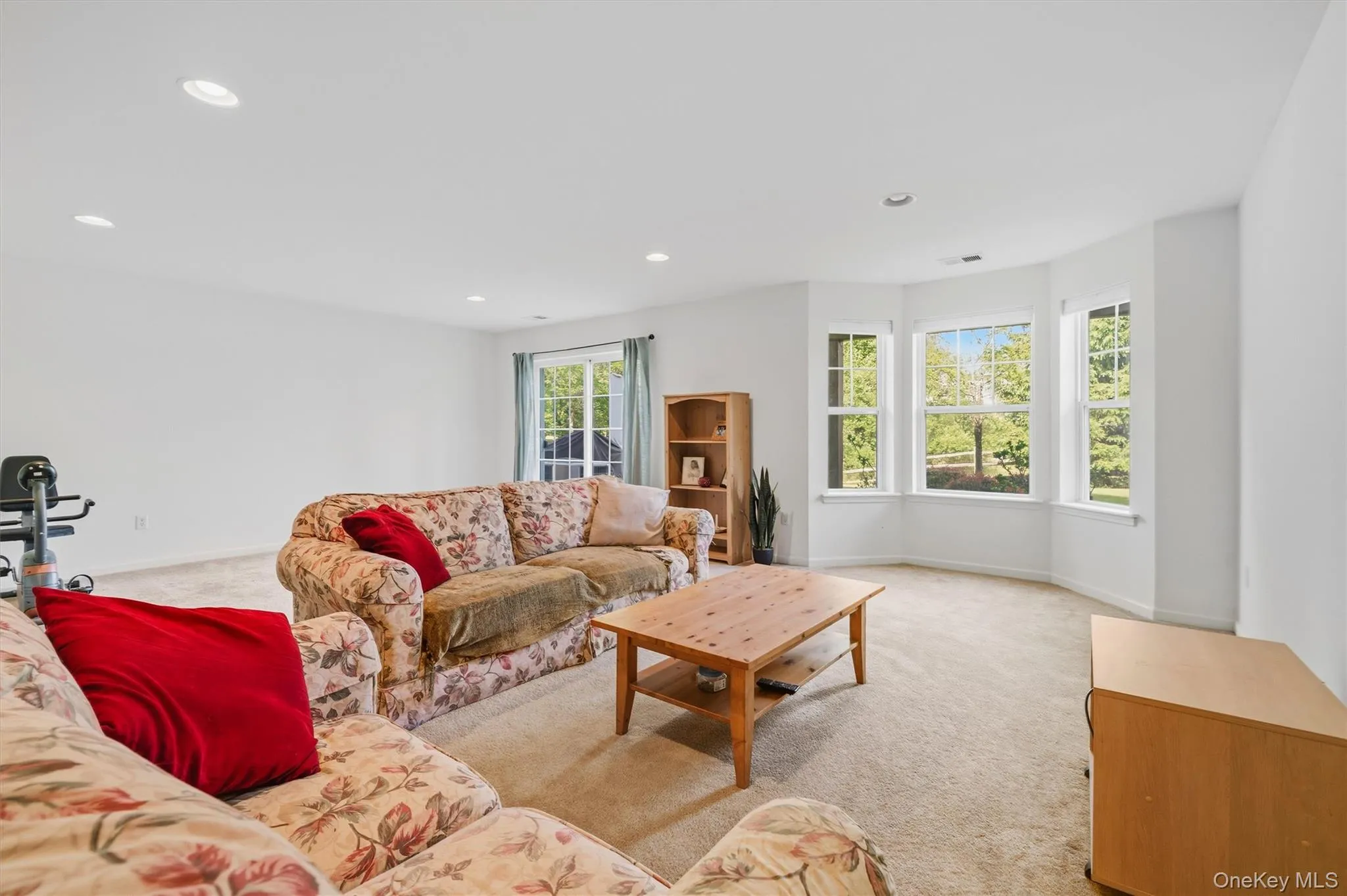 Lower Level Family Room & Utilities Room. Lower Level Family Room & Utilities Room.