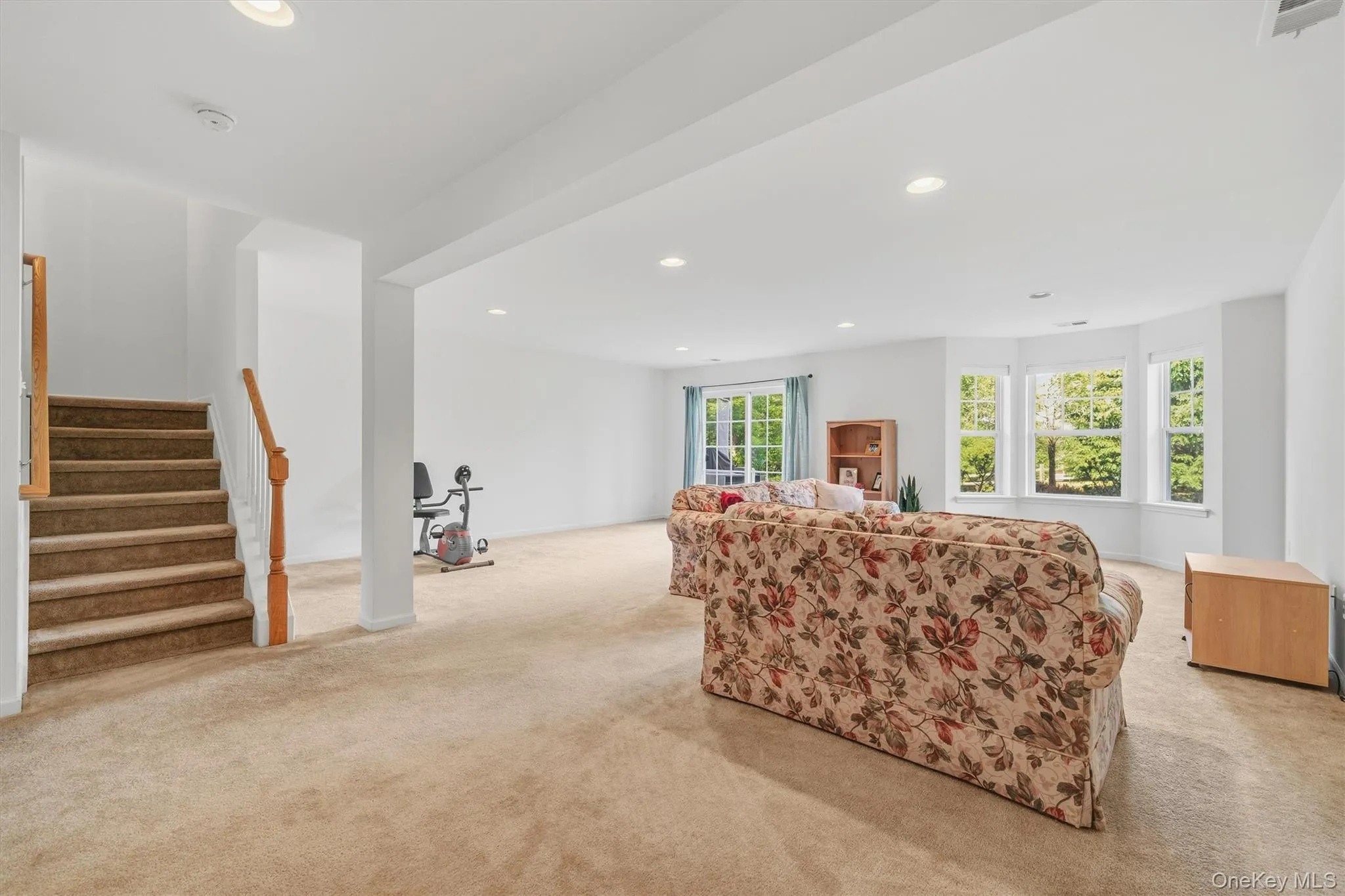 Lower Level Family Room & Utilities Room. Lower Level Family Room & Utilities Room.