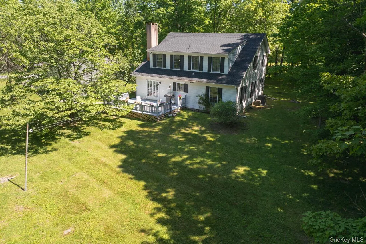 Large, level back yard Large, level back yard