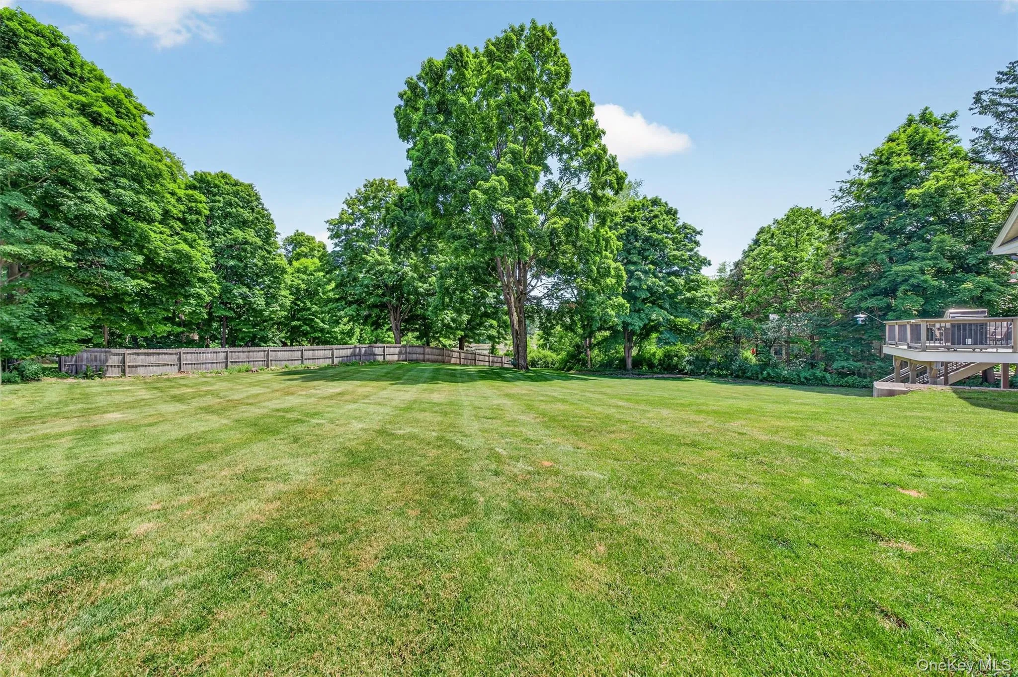 Expansive green lawn with mature trees and a wooden fence Expansive green lawn with mature trees and a wooden fence