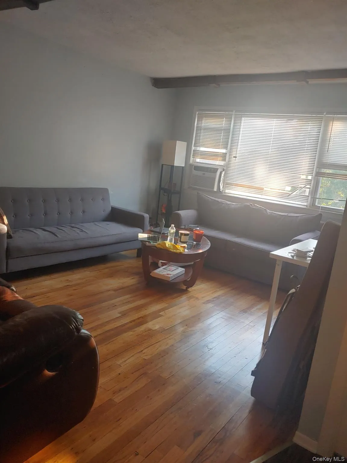 8829 Pontiac Street, New York, NY, 3 Bedrooms Bedrooms, 6 Rooms Rooms,1 BathroomBathrooms,Residential Lease,For Rent,Pontiac,0,1010070 8829 Pontiac Street, New York, NY, 3 Bedrooms Bedrooms, 6 Rooms Rooms,1 BathroomBathrooms,Residential Lease,For Rent,Pontiac,0,1010070
