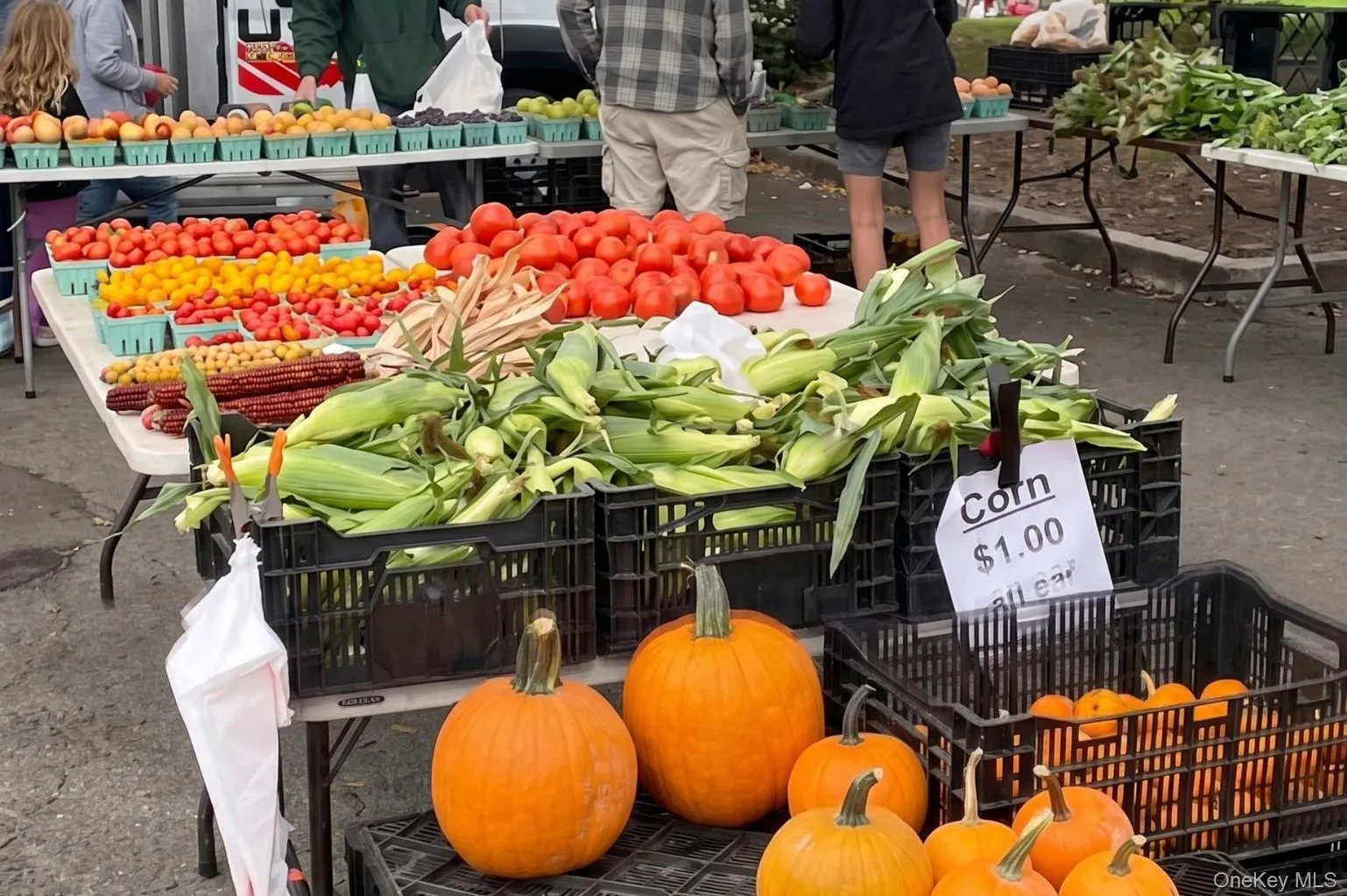 Farmers Market In Northport Village Farmers Market In Northport Village