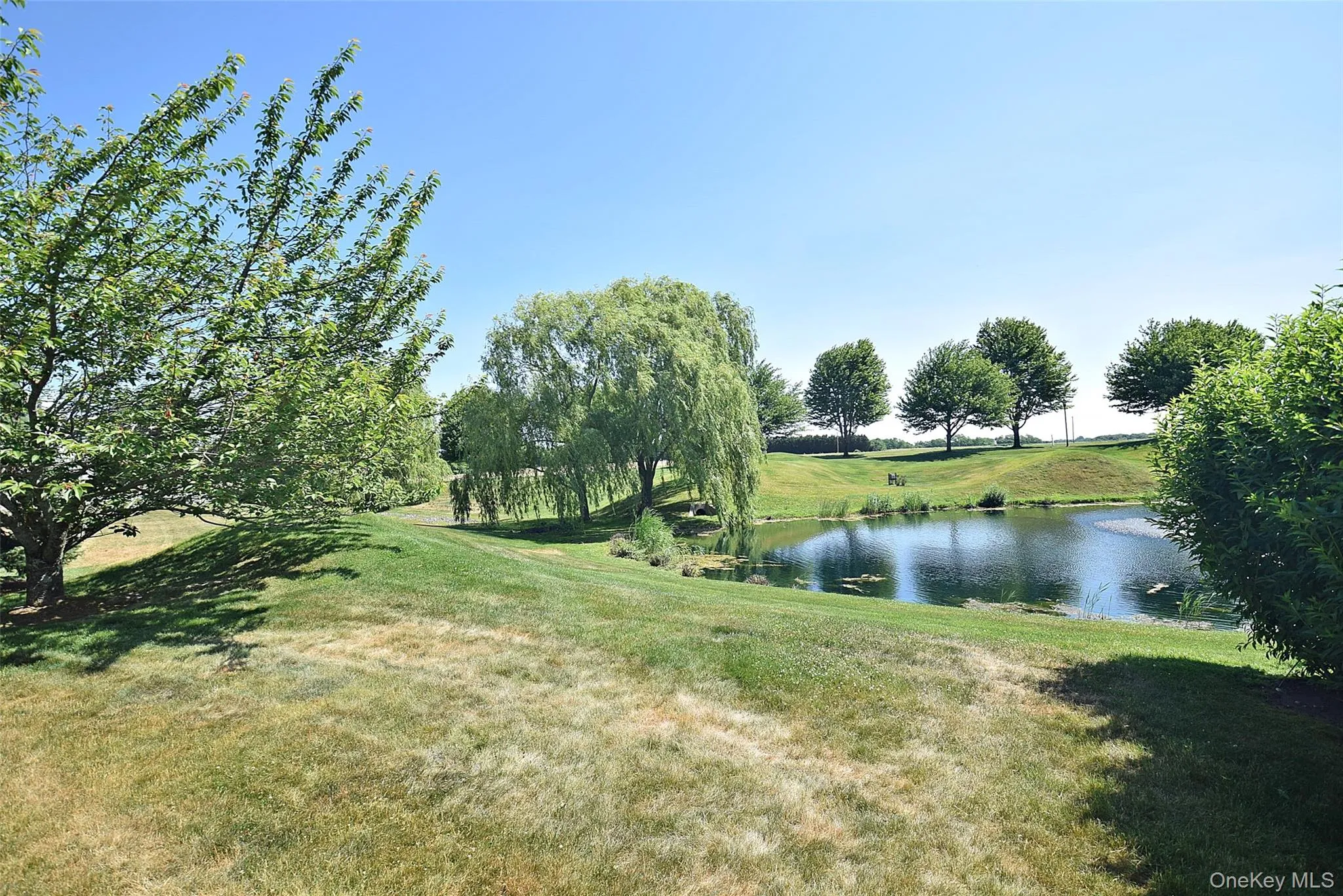 56 Foxglove Row, Riverhead, NY, 4 Bedrooms Bedrooms, 8 Rooms Rooms,2 BathroomsBathrooms,Residential,For Rent,Foxglove,0,1010096 56 Foxglove Row, Riverhead, NY, 4 Bedrooms Bedrooms, 8 Rooms Rooms,2 BathroomsBathrooms,Residential,For Rent,Foxglove,0,1010096