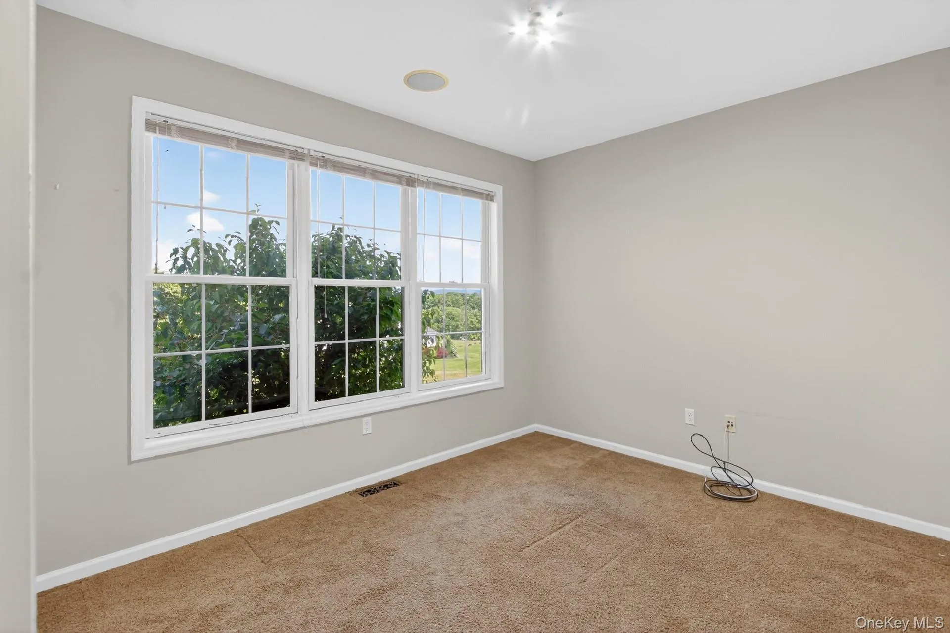 Room featuring light gray walls, brown carpet flooring, and white trim Room featuring light gray walls, brown carpet flooring, and white trim