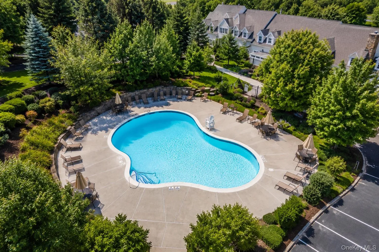 Custom-shaped swimming pool featuring a concrete surround and integrated steps Custom-shaped swimming pool featuring a concrete surround and integrated steps