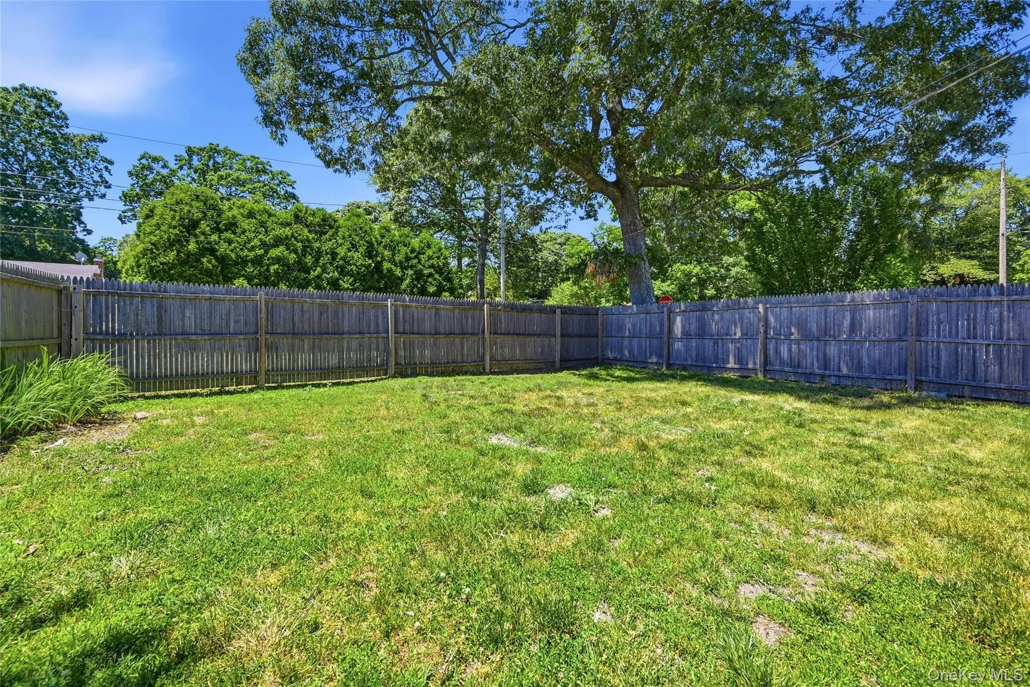 Fenced yard Fenced yard