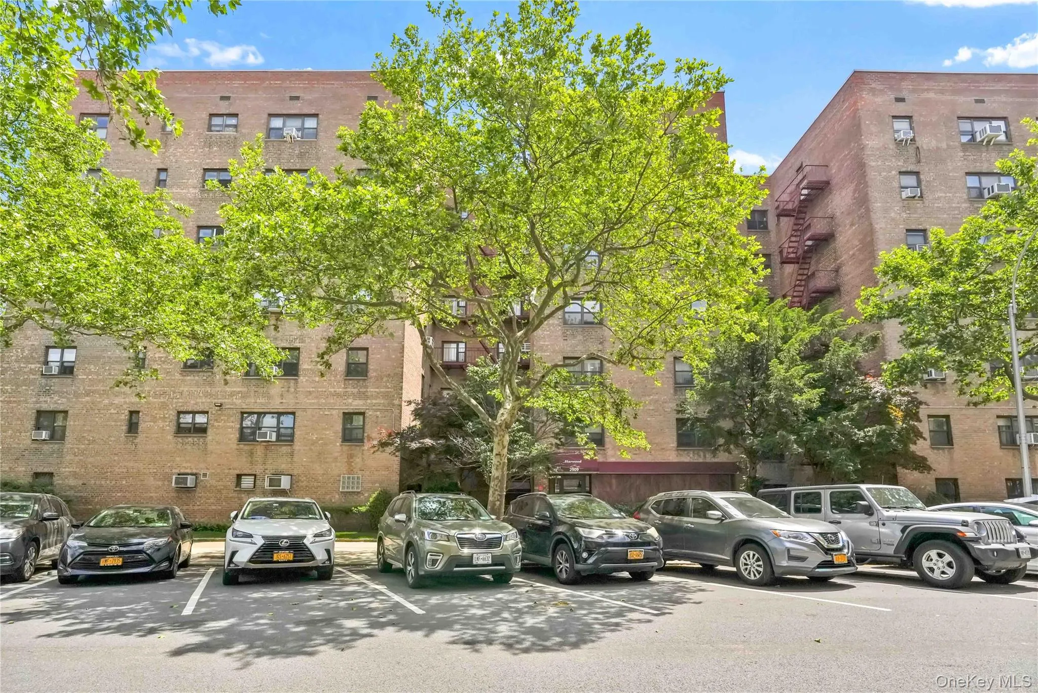 2909 137th Street, New York, NY, 3 Bedrooms Bedrooms, 6 Rooms Rooms,2 BathroomsBathrooms,Residential,For Rent,137th,0,1010102 2909 137th Street, New York, NY, 3 Bedrooms Bedrooms, 6 Rooms Rooms,2 BathroomsBathrooms,Residential,For Rent,137th,0,1010102