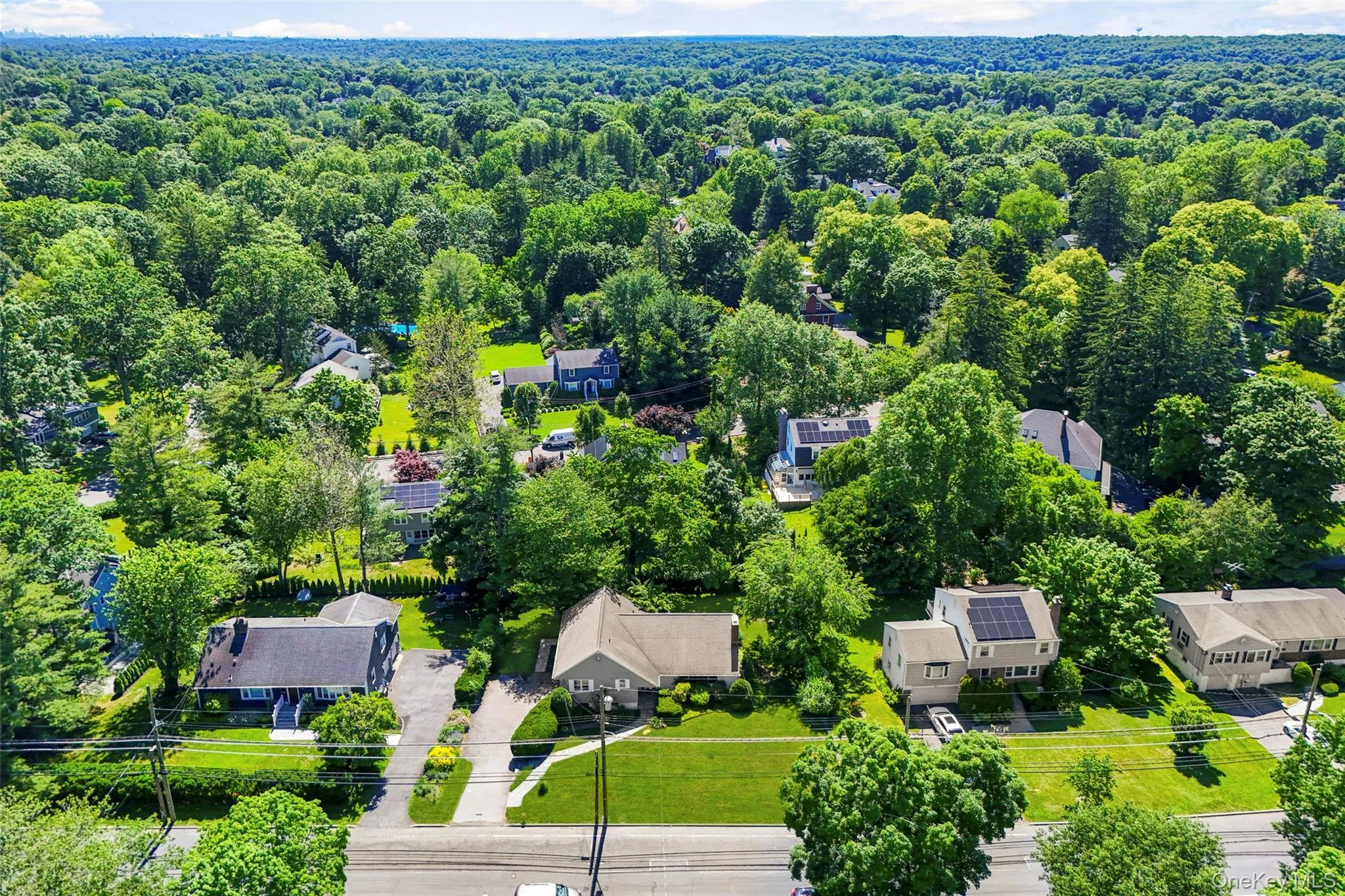 Around the corner and just beyond this backyard is equally desirable Prospect Park. Around the corner and just beyond this backyard is equally desirable Prospect Park.