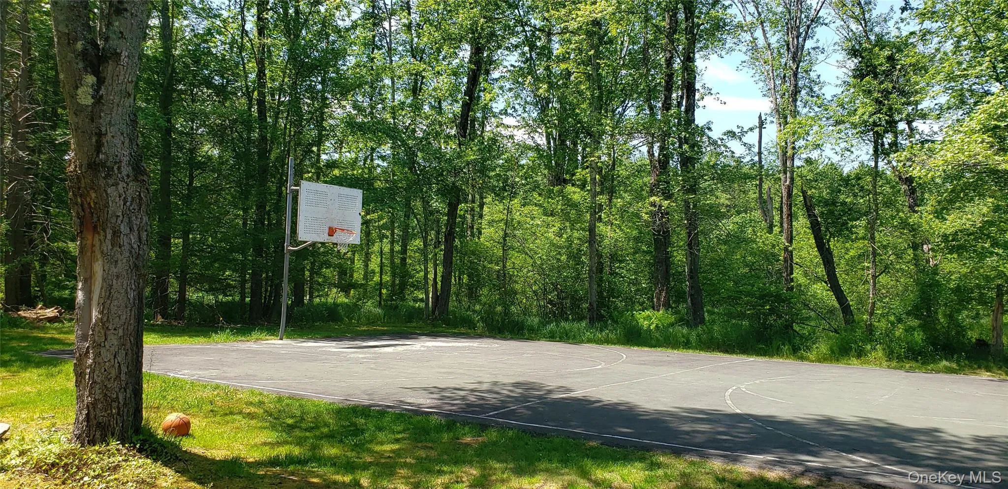 Basketball court Basketball court