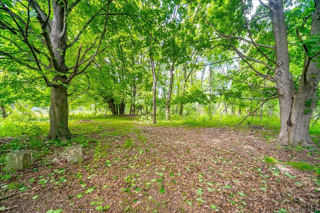 1524 State Route 17A, Warwick (town), NY, 4 Bedrooms Bedrooms, 12 Rooms Rooms,2 BathroomsBathrooms,Residential,For Rent,State Route 17A,0,1010149 1524 State Route 17A, Warwick (town), NY, 4 Bedrooms Bedrooms, 12 Rooms Rooms,2 BathroomsBathrooms,Residential,For Rent,State Route 17A,0,1010149