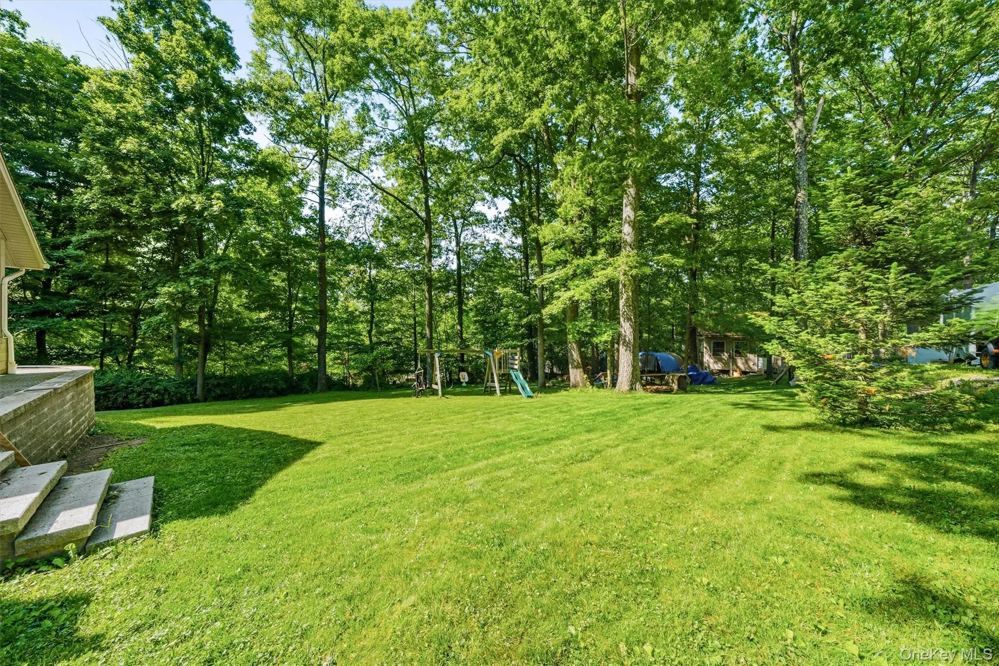 Large yard Large yard