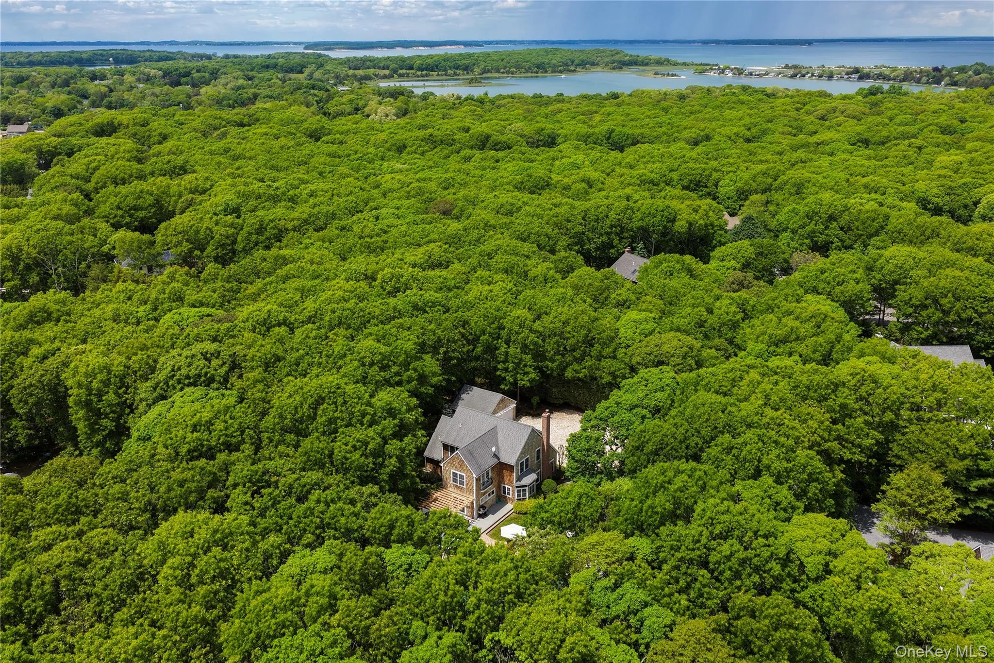 Aerial perspective showcasing a large residential structure surrounded by extensive mature tree coverage Aerial perspective showcasing a large residential structure surrounded by extensive mature tree coverage