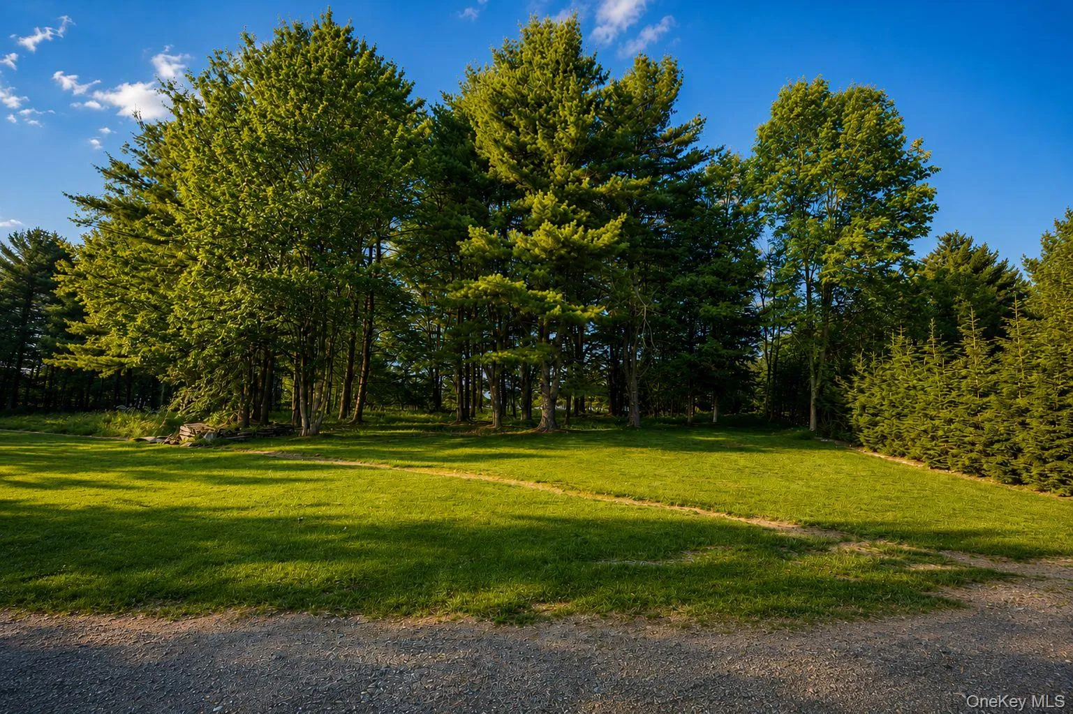 266 Lt Brender Hwy, Liberty, NY, 5 Bedrooms Bedrooms, 8 Rooms Rooms,3 BathroomsBathrooms,Residential,For Rent,Lt Brender Hwy,0,1010216 266 Lt Brender Hwy, Liberty, NY, 5 Bedrooms Bedrooms, 8 Rooms Rooms,3 BathroomsBathrooms,Residential,For Rent,Lt Brender Hwy,0,1010216