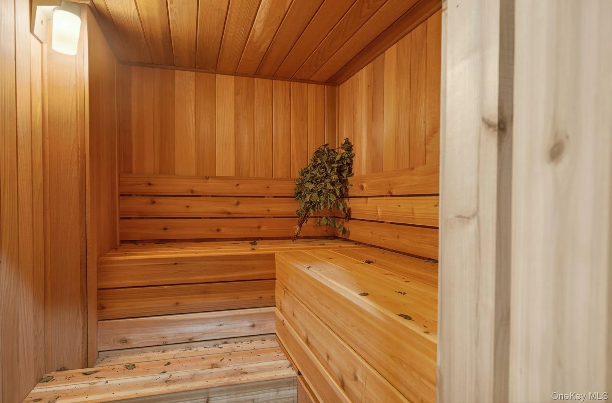 Sauna lower level Sauna lower level