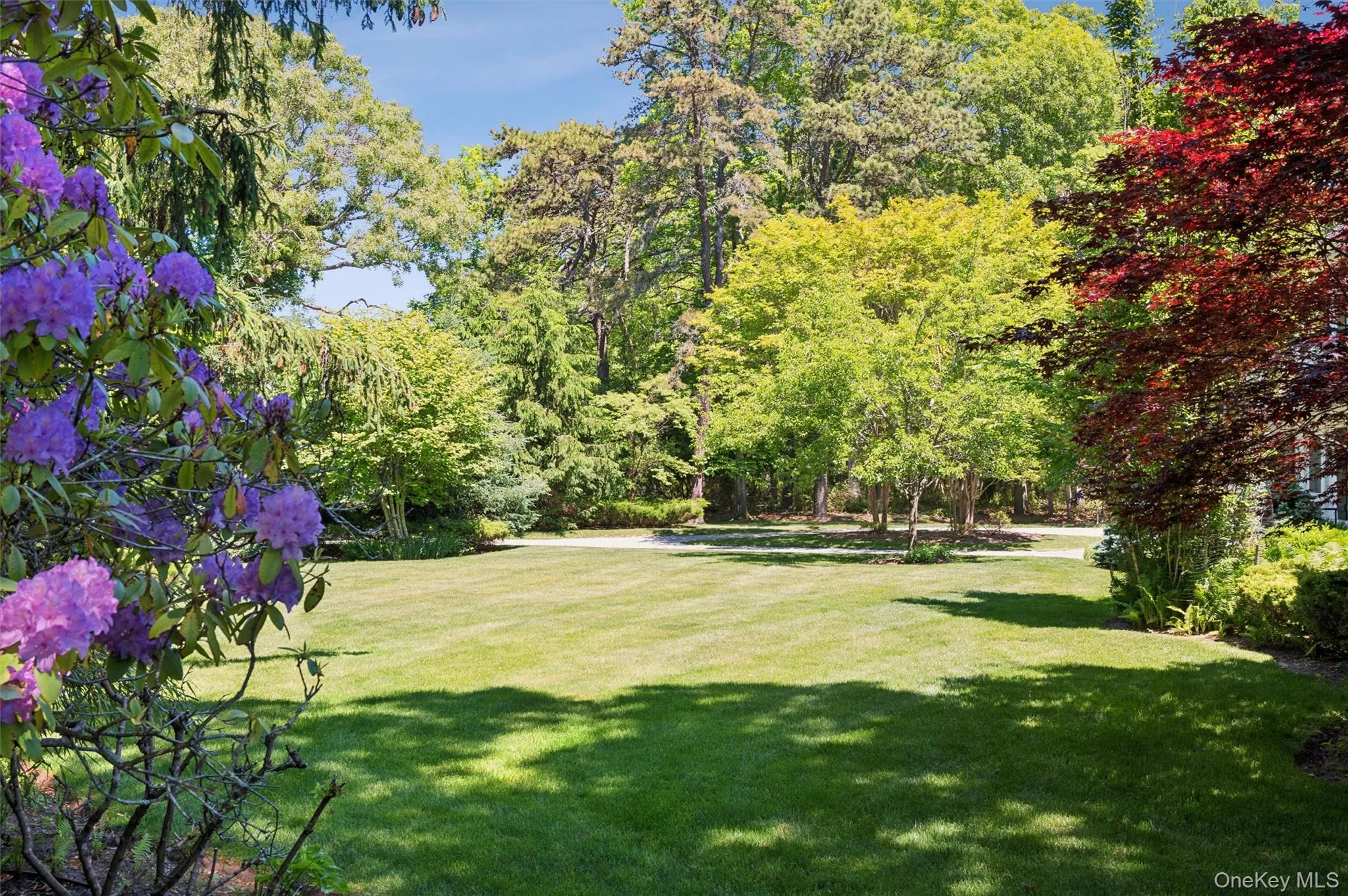 18 Jagger Lane, Southampton, NY, 4 Bedrooms Bedrooms, 11 Rooms Rooms,4 BathroomsBathrooms,Residential,For Rent,Jagger,0,1010225 18 Jagger Lane, Southampton, NY, 4 Bedrooms Bedrooms, 11 Rooms Rooms,4 BathroomsBathrooms,Residential,For Rent,Jagger,0,1010225