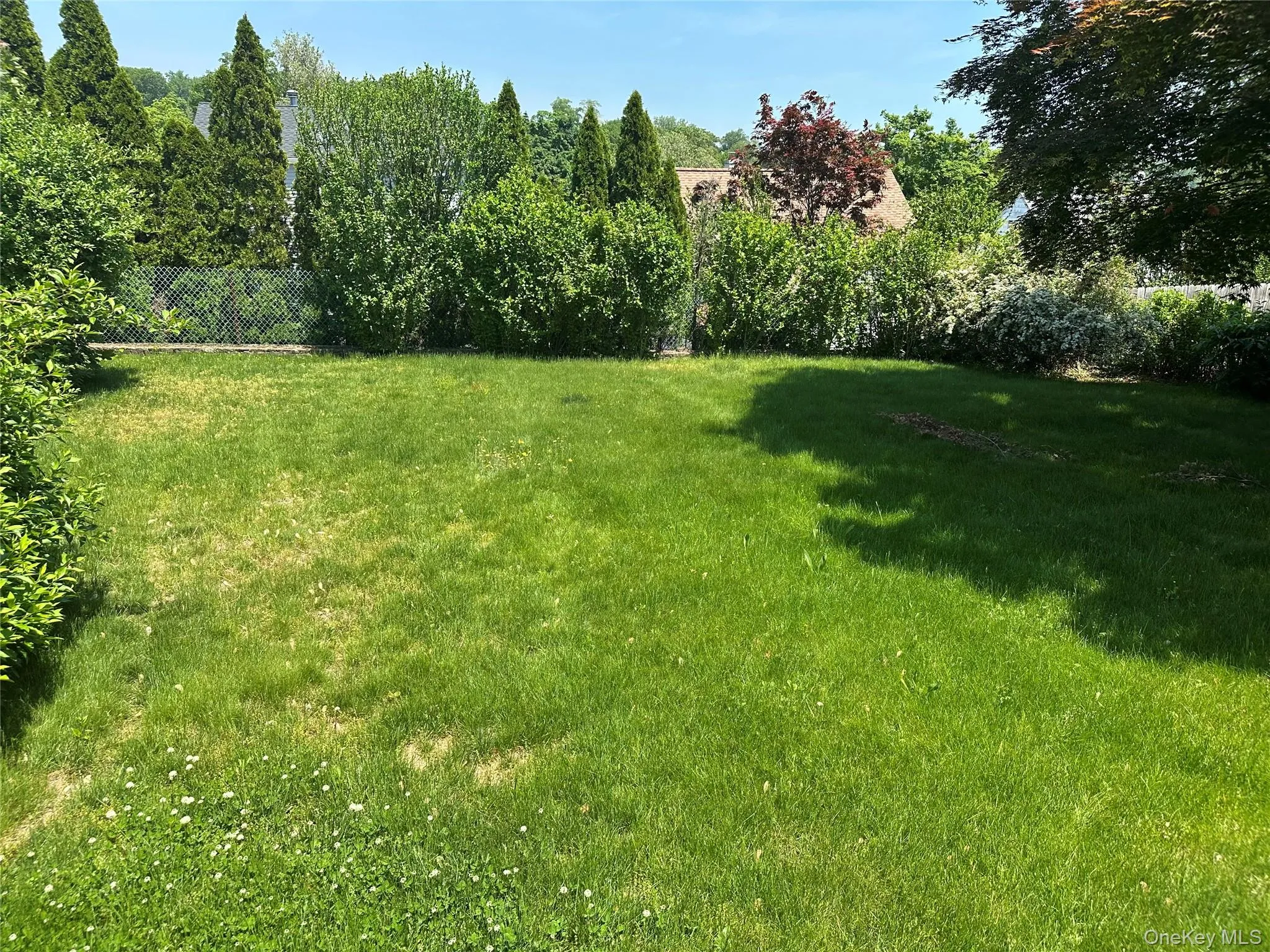 Back yard of 64 Kathwood Rd Back yard of 64 Kathwood Rd