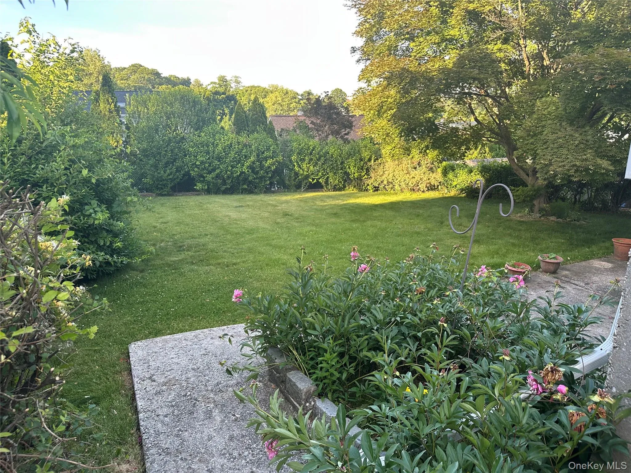 nice flat back yard nice flat back yard