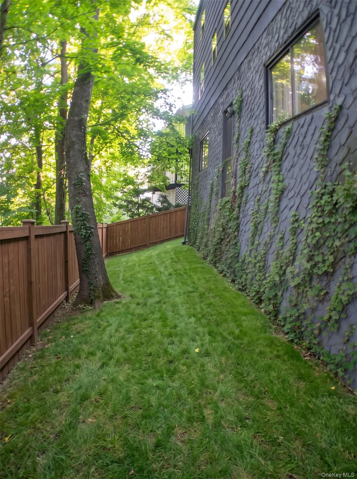 Digitally rendered photo of backyard space Fenced Off Digitally rendered photo of backyard space Fenced Off