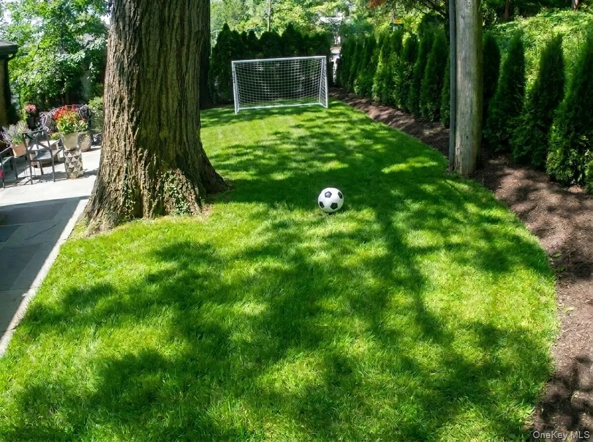 Digitally rendered photos of front yard play space Digitally rendered photos of front yard play space