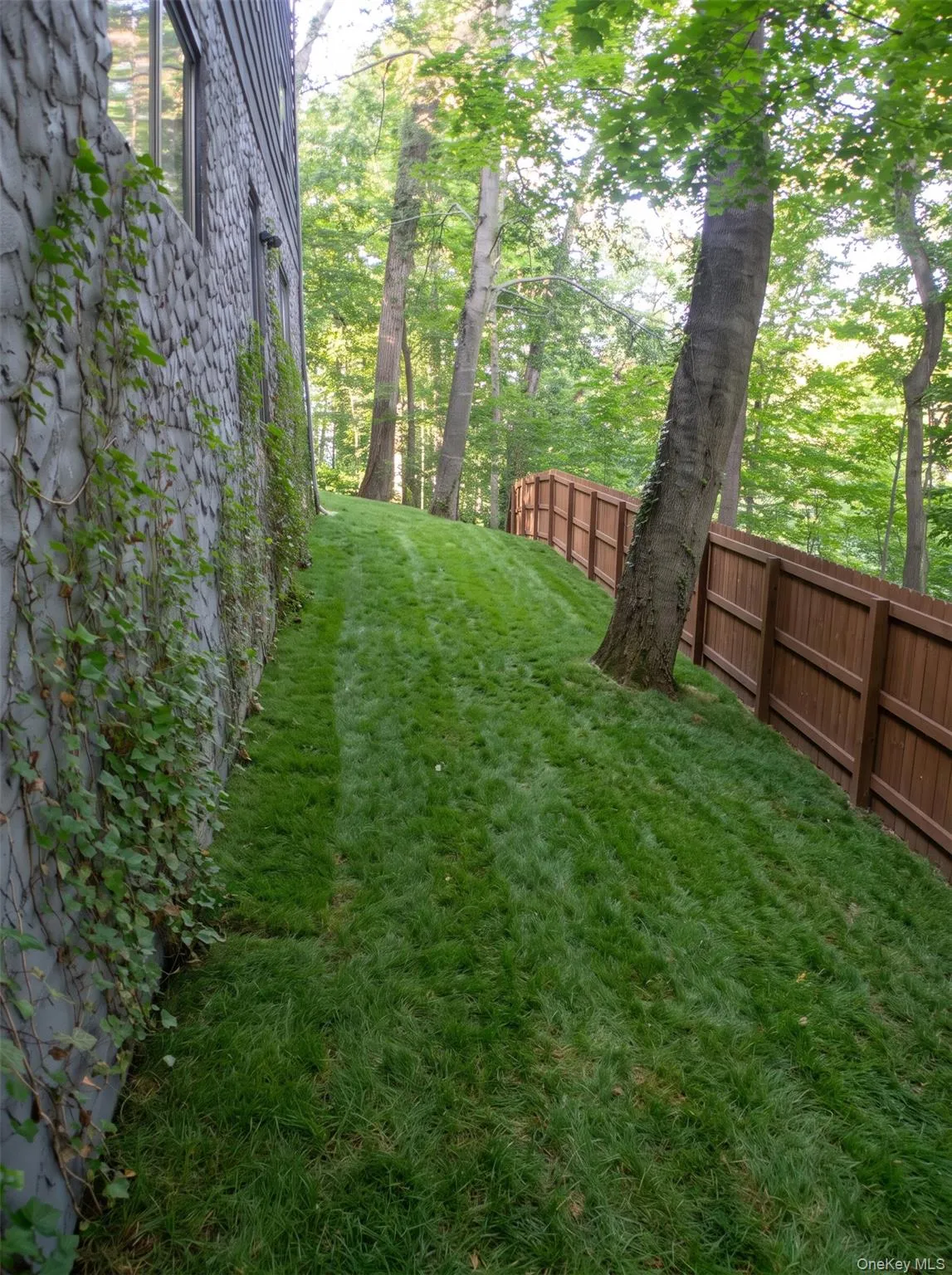 Digitally rendered photo of backyard space Fenced off Digitally rendered photo of backyard space Fenced off
