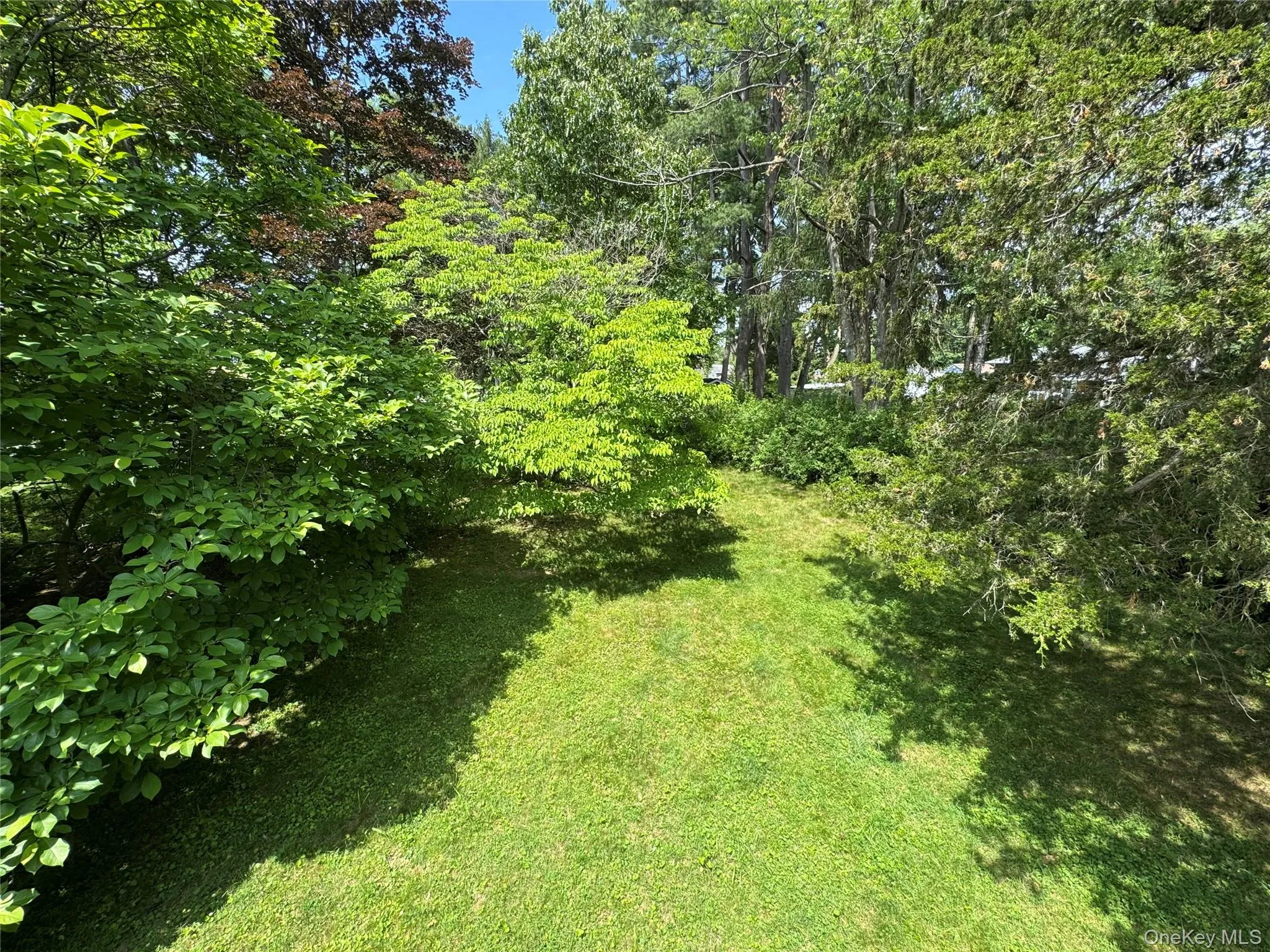 11 Lynbrook Road, Poughkeepsie, NY, 3 Bedrooms Bedrooms, 8 Rooms Rooms,1 BathroomBathrooms,Residential,For Rent,Lynbrook,0,1010296 11 Lynbrook Road, Poughkeepsie, NY, 3 Bedrooms Bedrooms, 8 Rooms Rooms,1 BathroomBathrooms,Residential,For Rent,Lynbrook,0,1010296