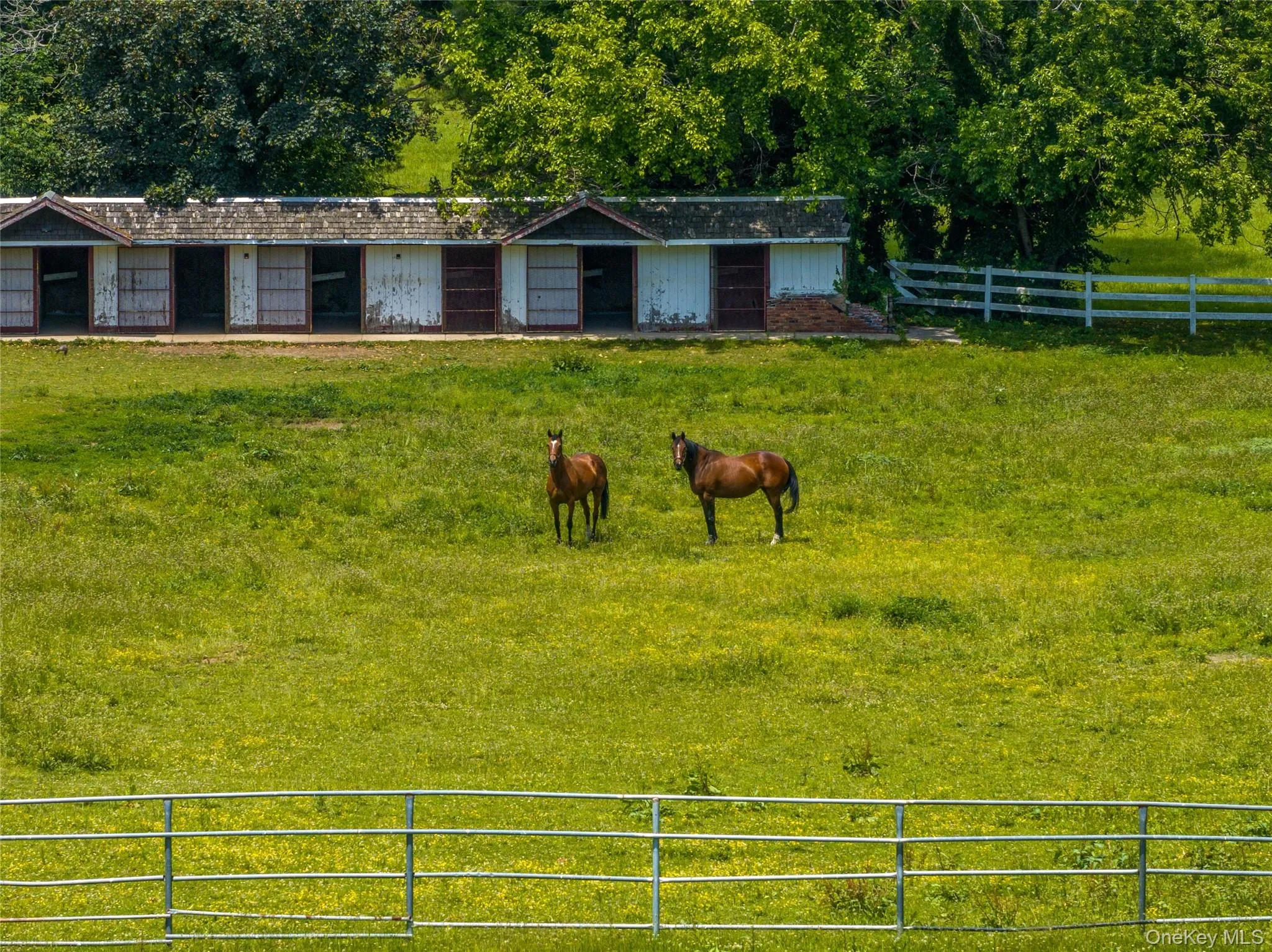 Run In Sheds & Paddocks Run In Sheds & Paddocks