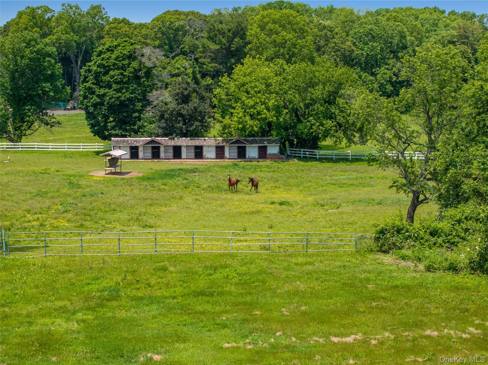 Run In Sheds & Paddocks Run In Sheds & Paddocks