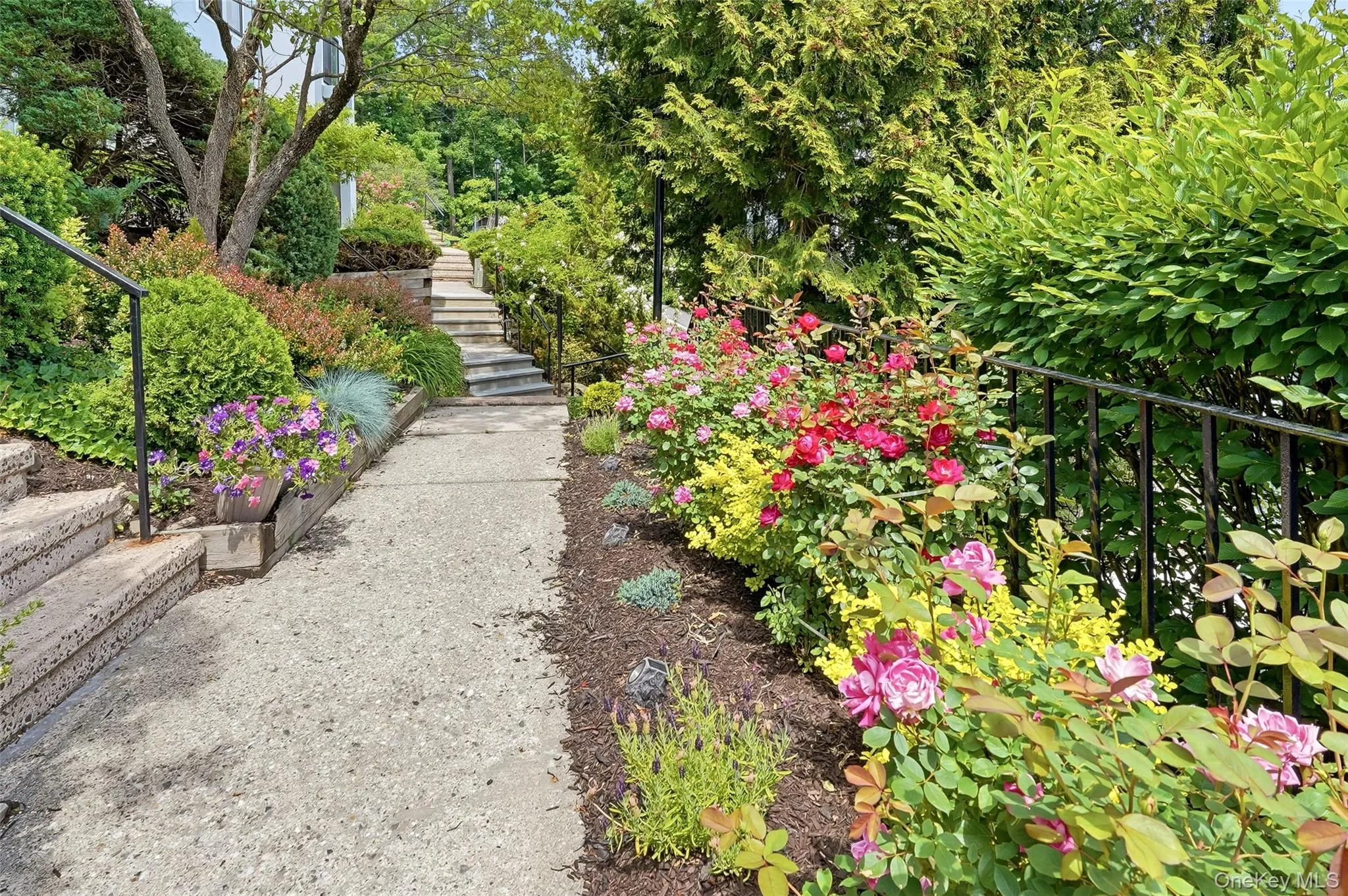 Walk way to unit beautiful perennial plantings Walk way to unit beautiful perennial plantings