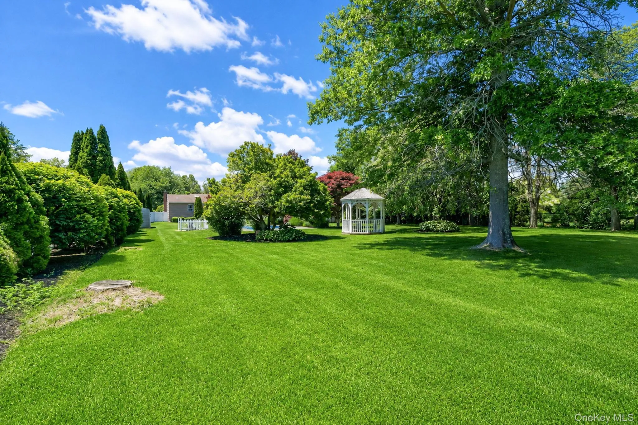 Large yard with Inground saltwater pool, gazebo Large yard with Inground saltwater pool, gazebo