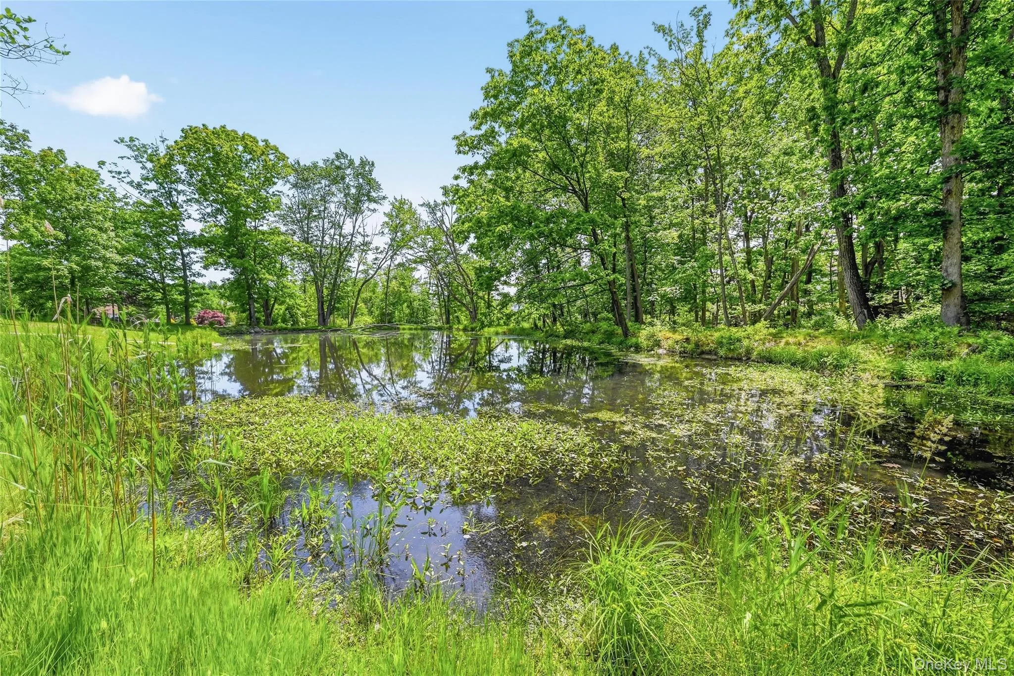 27 Van Tassel Court, Woodbury, NY, 6 Bedrooms Bedrooms, 10 Rooms Rooms,3 BathroomsBathrooms,Residential,For Rent,Van Tassel,0,1010358 27 Van Tassel Court, Woodbury, NY, 6 Bedrooms Bedrooms, 10 Rooms Rooms,3 BathroomsBathrooms,Residential,For Rent,Van Tassel,0,1010358