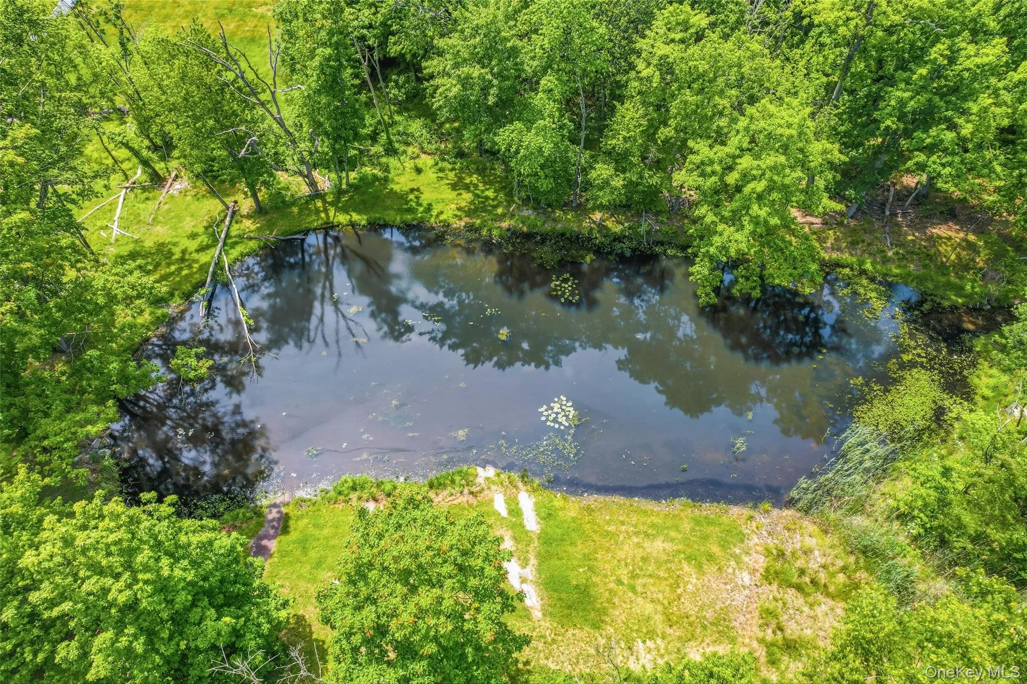 27 Van Tassel Court, Woodbury, NY, 6 Bedrooms Bedrooms, 10 Rooms Rooms,3 BathroomsBathrooms,Residential,For Rent,Van Tassel,0,1010358 27 Van Tassel Court, Woodbury, NY, 6 Bedrooms Bedrooms, 10 Rooms Rooms,3 BathroomsBathrooms,Residential,For Rent,Van Tassel,0,1010358