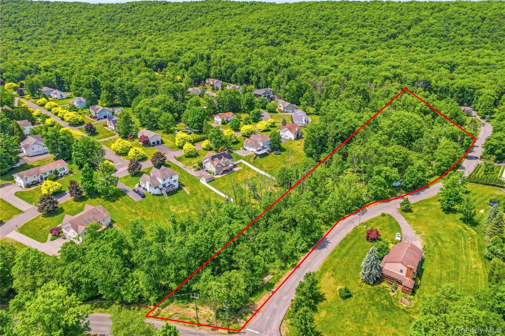 27 Van Tassel Court, Woodbury, NY, 6 Bedrooms Bedrooms, 10 Rooms Rooms,3 BathroomsBathrooms,Residential,For Rent,Van Tassel,0,1010358 27 Van Tassel Court, Woodbury, NY, 6 Bedrooms Bedrooms, 10 Rooms Rooms,3 BathroomsBathrooms,Residential,For Rent,Van Tassel,0,1010358