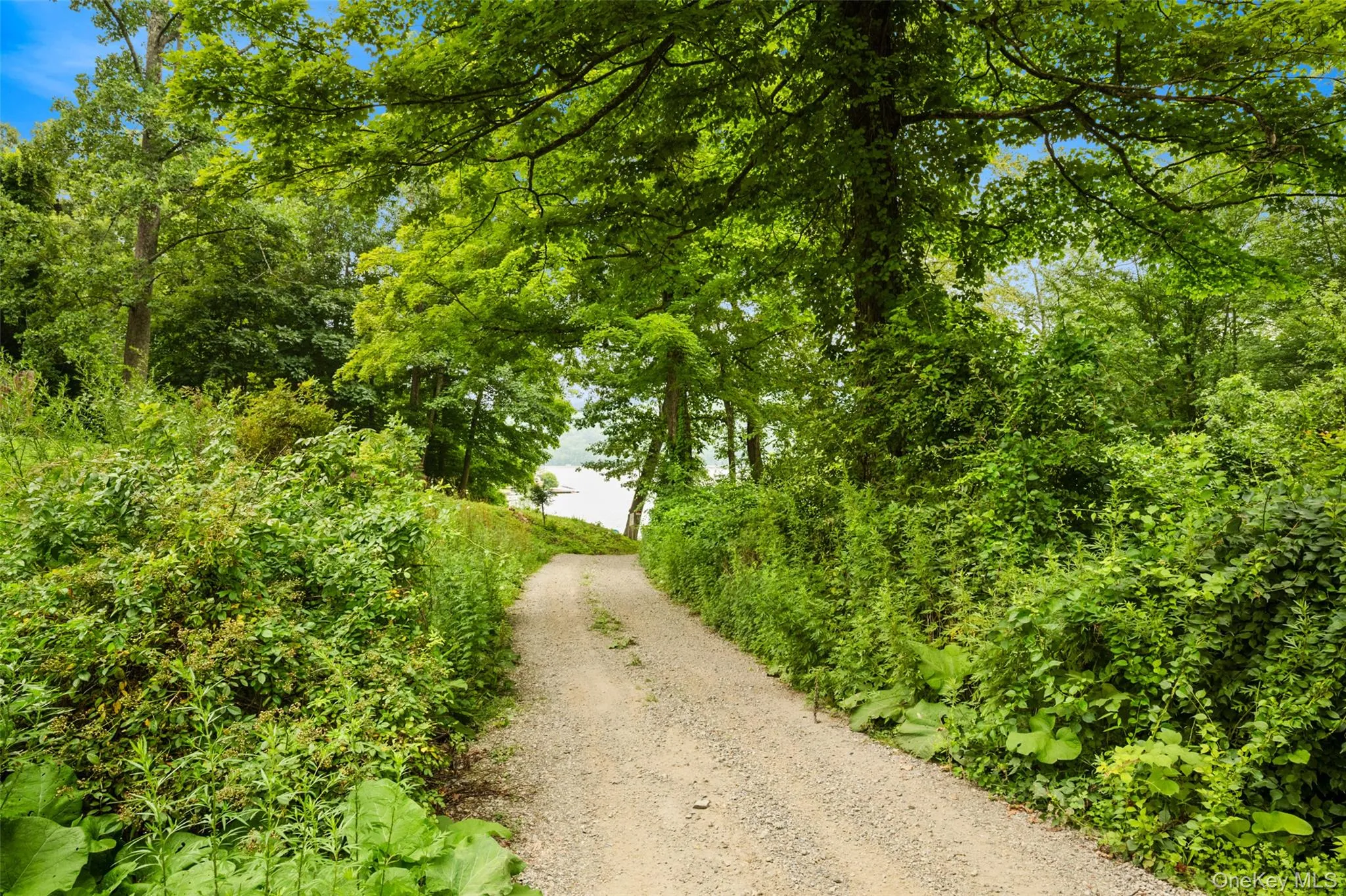 Road Down to Lake, Private Beach and Docks Road Down to Lake, Private Beach and Docks