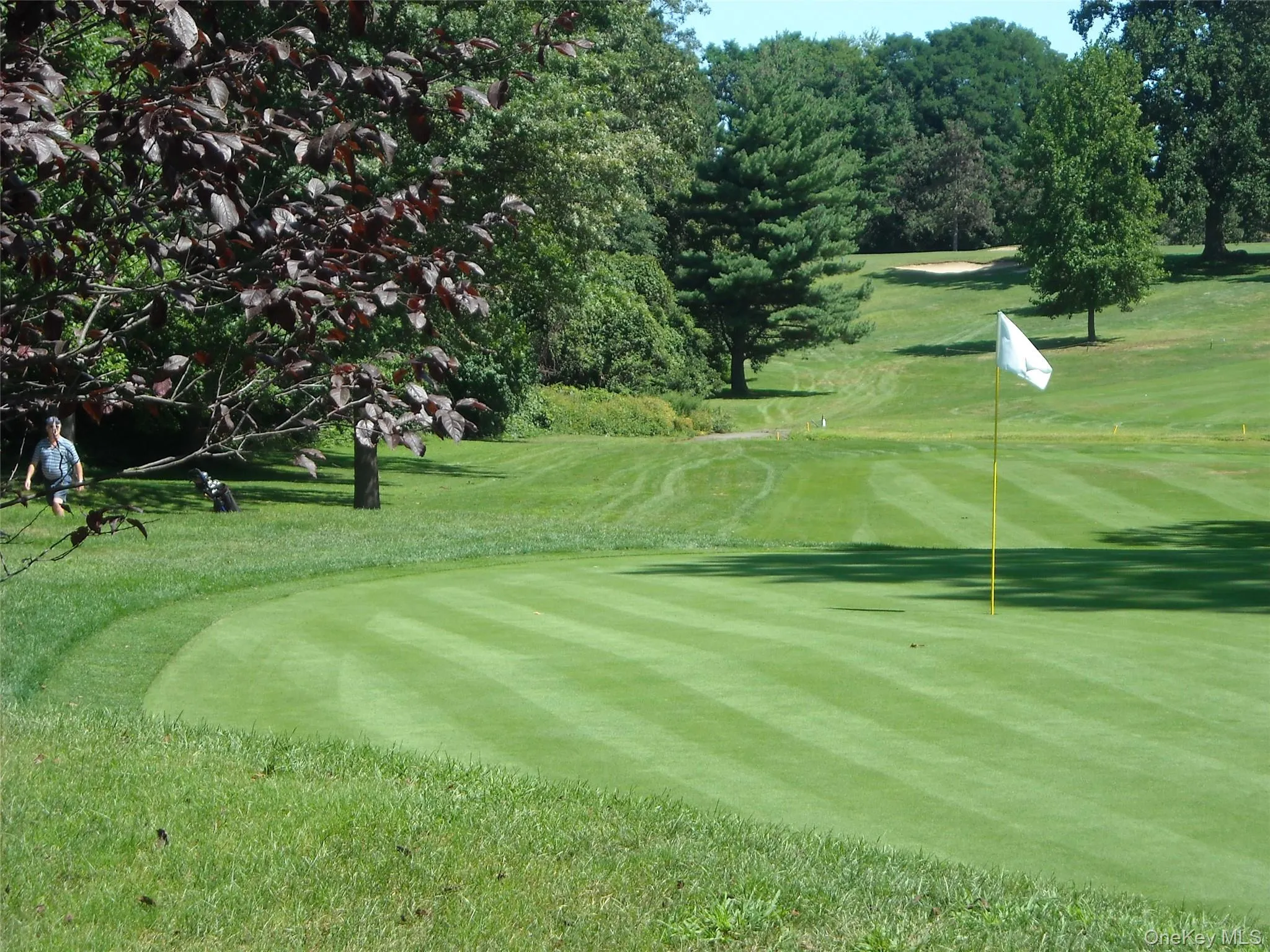 Enjoy Town of Eastchester's Lake Isle Country Club Enjoy Town of Eastchester's Lake Isle Country Club