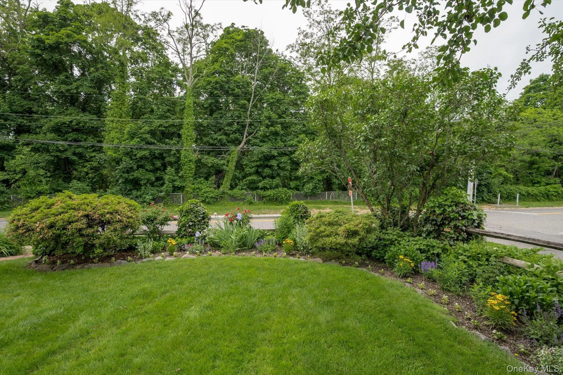 Expansive front lawn with mature landscaping and established garden beds Expansive front lawn with mature landscaping and established garden beds
