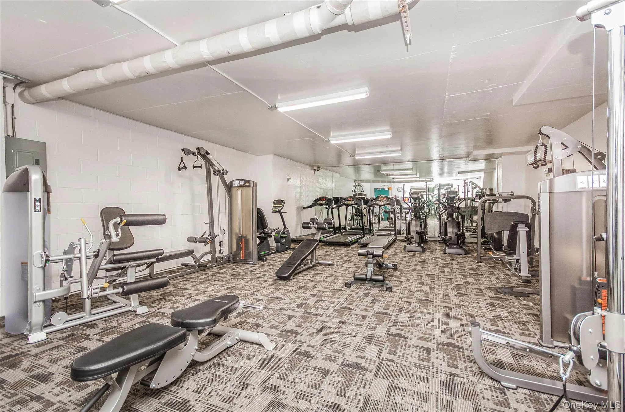 555 Kappock Street, New York, NY, 2 Bedrooms Bedrooms, 5 Rooms Rooms,2 BathroomsBathrooms,Residential,For Rent,Kappock,0,1010394 555 Kappock Street, New York, NY, 2 Bedrooms Bedrooms, 5 Rooms Rooms,2 BathroomsBathrooms,Residential,For Rent,Kappock,0,1010394