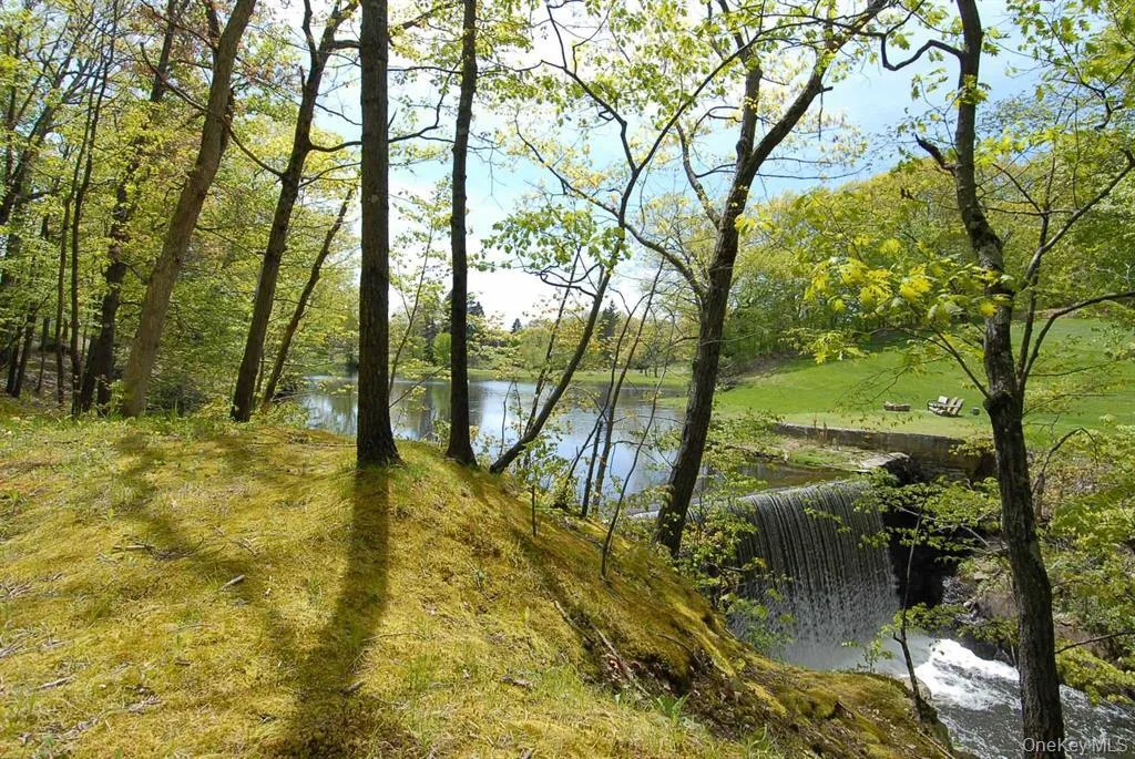 View of water feature with a view of trees View of water feature with a view of trees