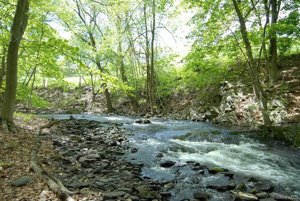 View of brook View of brook