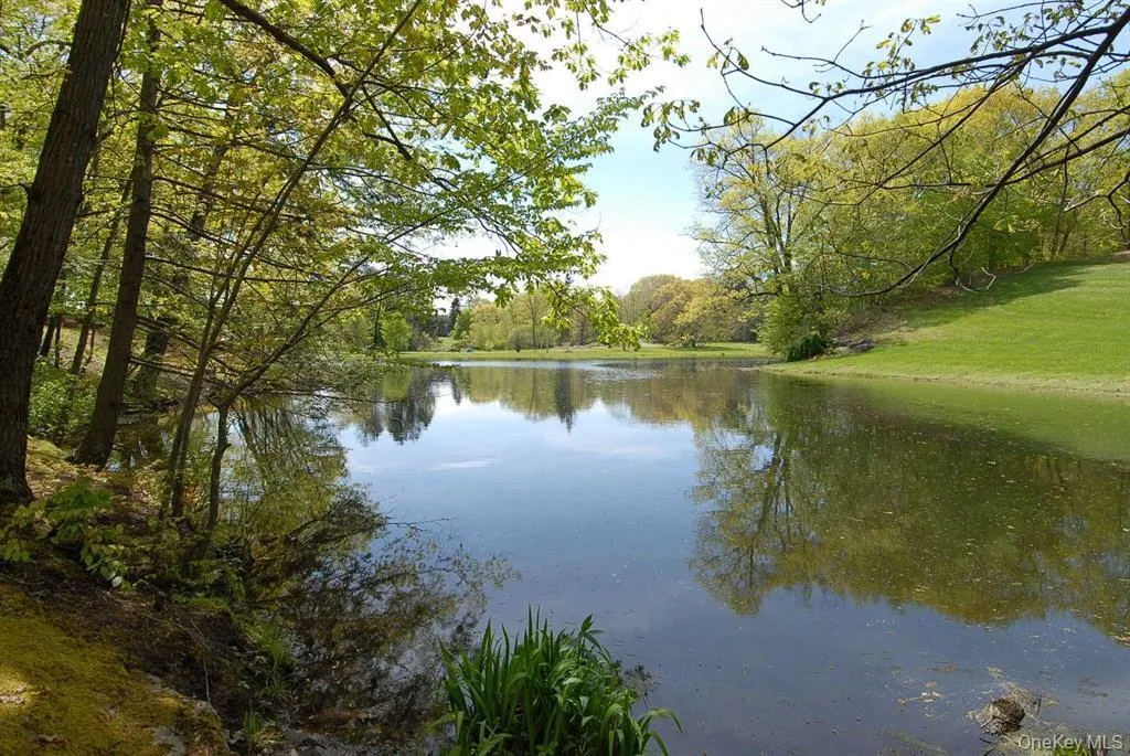 View of pond View of pond
