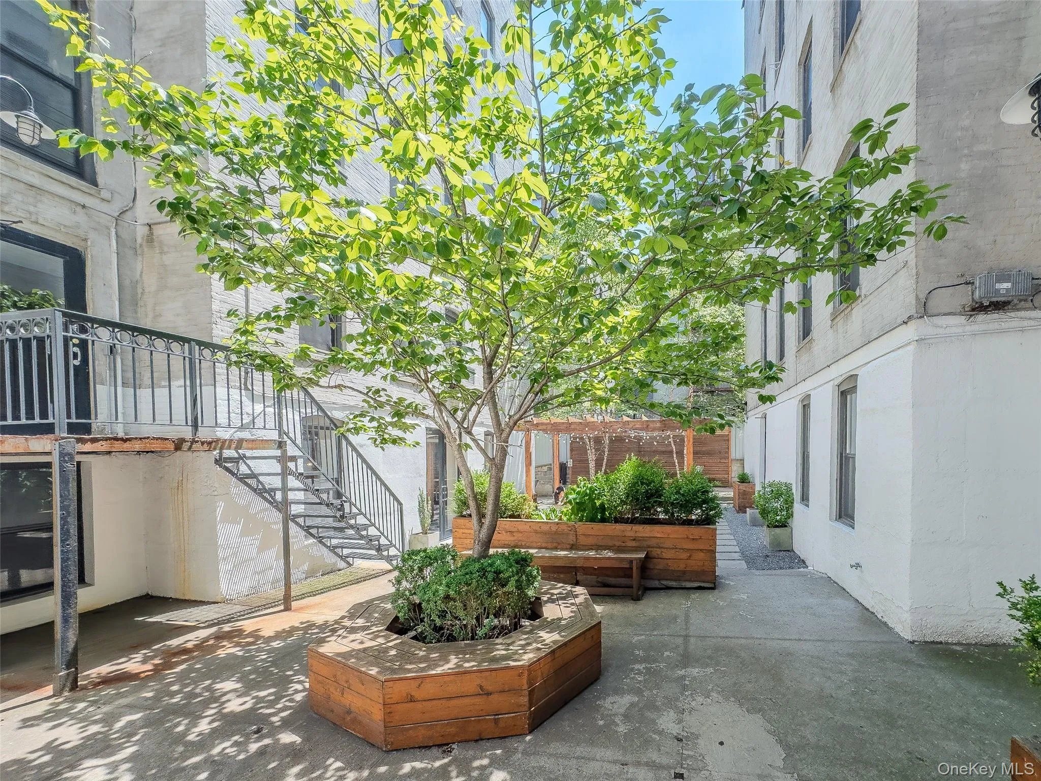 2439 38th Street, New York, NY, 2 Bedrooms Bedrooms, 4 Rooms Rooms,1 BathroomBathrooms,Residential,For Rent,38th,0,1010440 2439 38th Street, New York, NY, 2 Bedrooms Bedrooms, 4 Rooms Rooms,1 BathroomBathrooms,Residential,For Rent,38th,0,1010440