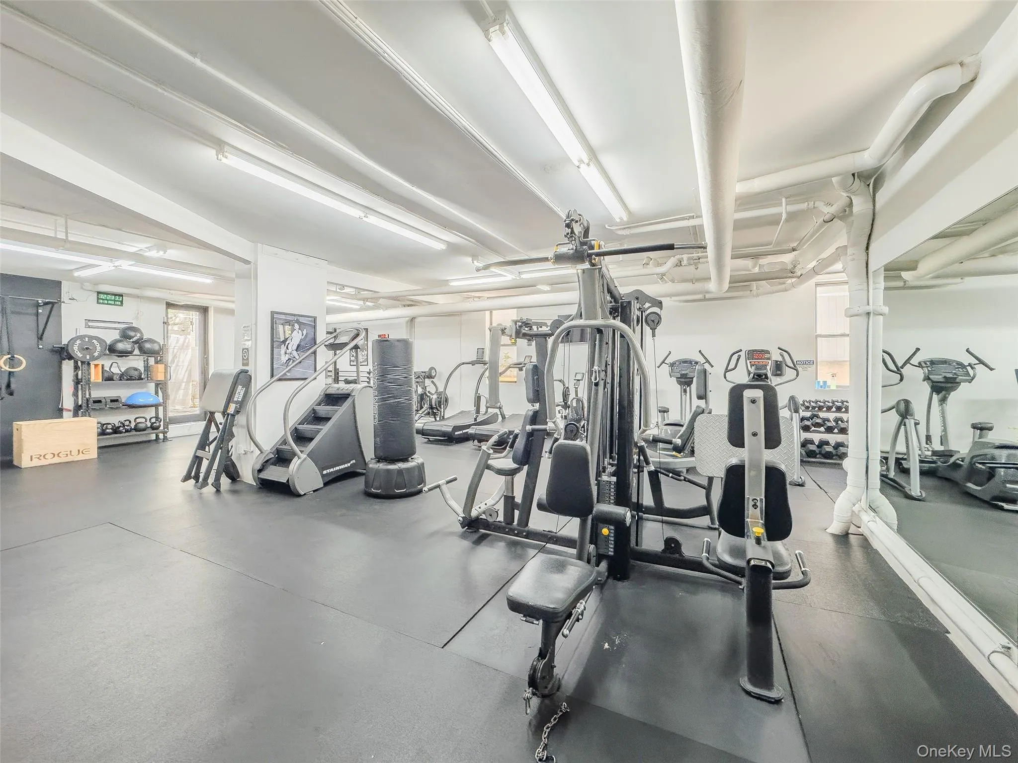 2439 38th Street, New York, NY, 2 Bedrooms Bedrooms, 4 Rooms Rooms,1 BathroomBathrooms,Residential,For Rent,38th,0,1010440 2439 38th Street, New York, NY, 2 Bedrooms Bedrooms, 4 Rooms Rooms,1 BathroomBathrooms,Residential,For Rent,38th,0,1010440