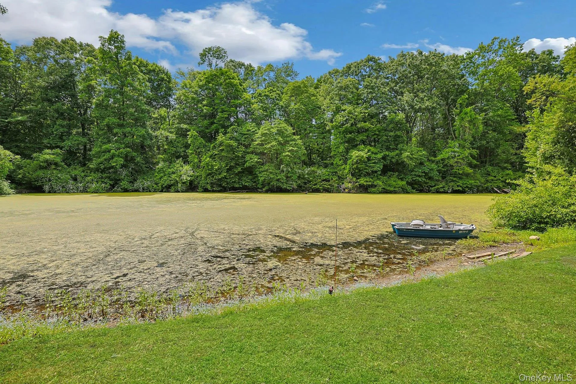 Boat not included Boat not included