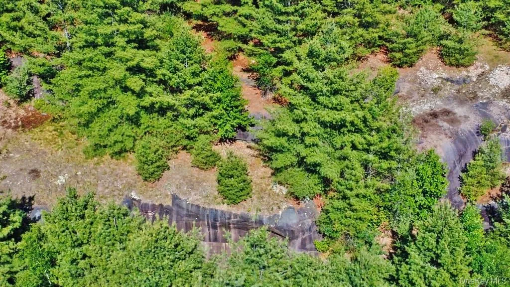 *** Marsh Rd, Fallsburg, NY, ,Land,For Rent,*** Marsh Rd,0,1010465 *** Marsh Rd, Fallsburg, NY, ,Land,For Rent,*** Marsh Rd,0,1010465