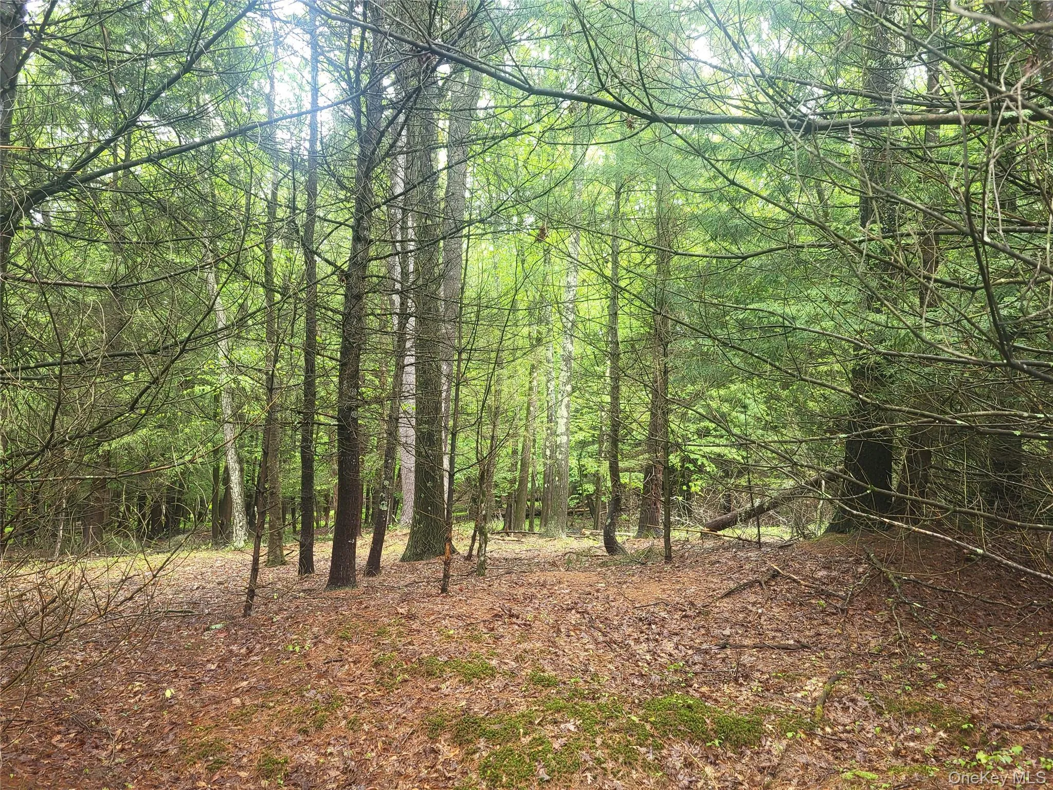 *** Marsh Rd, Fallsburg, NY, ,Land,For Rent,*** Marsh Rd,0,1010465 *** Marsh Rd, Fallsburg, NY, ,Land,For Rent,*** Marsh Rd,0,1010465